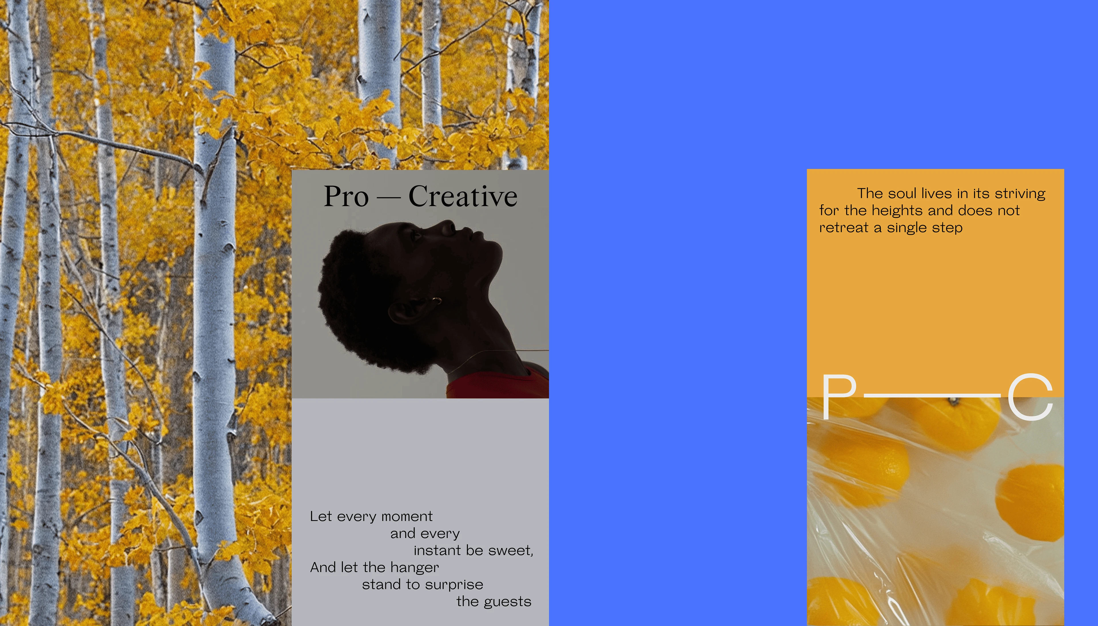 Брендинг Pro—Creative — Изображение №11 — Брендинг на Dprofile