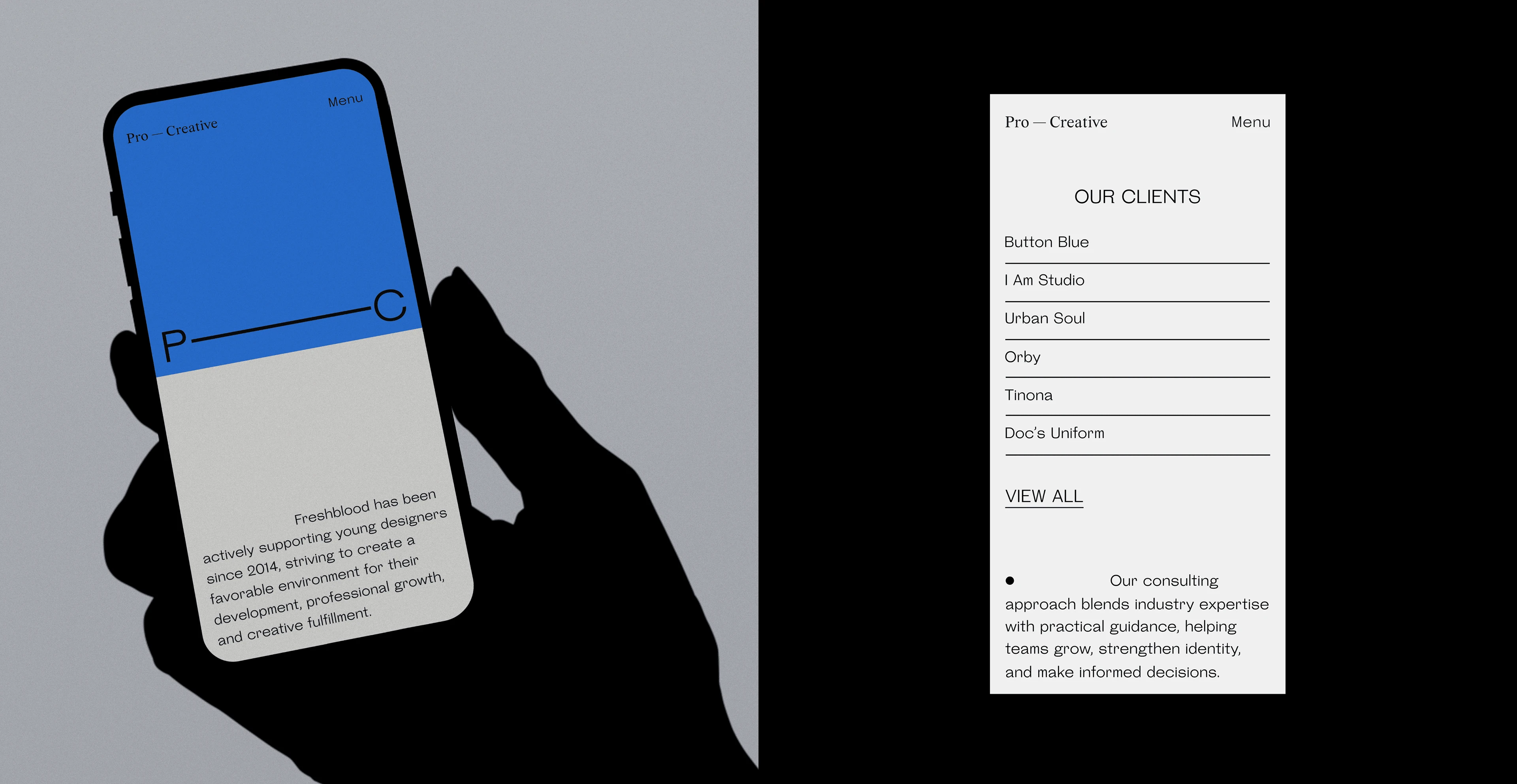 Брендинг Pro—Creative — Изображение №2 — Брендинг на Dprofile