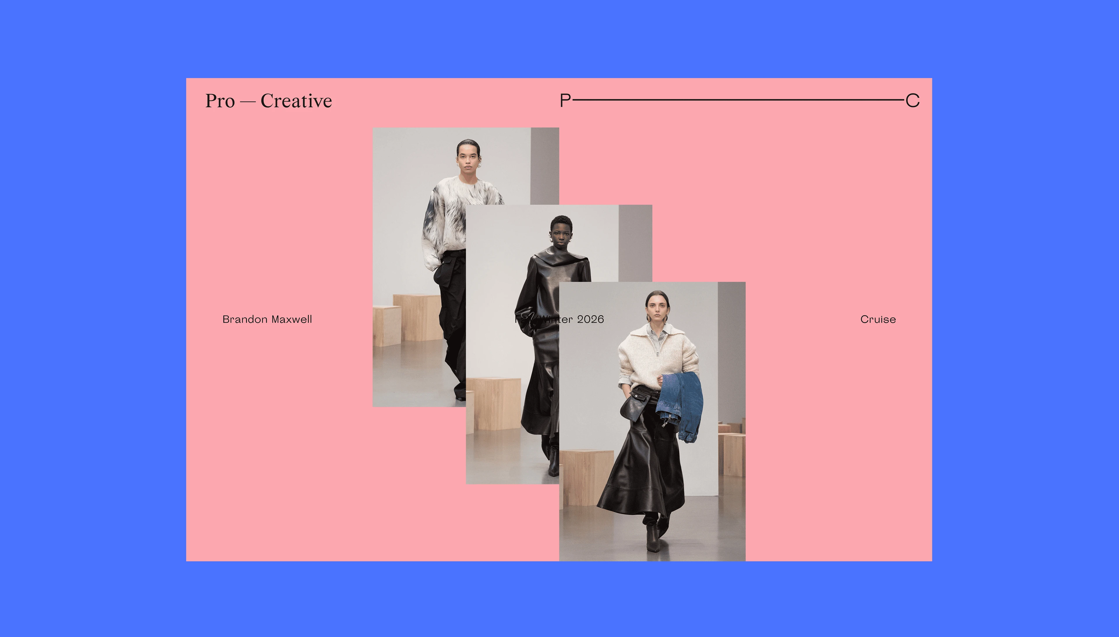 Брендинг Pro—Creative — Изображение №8 — Брендинг на Dprofile