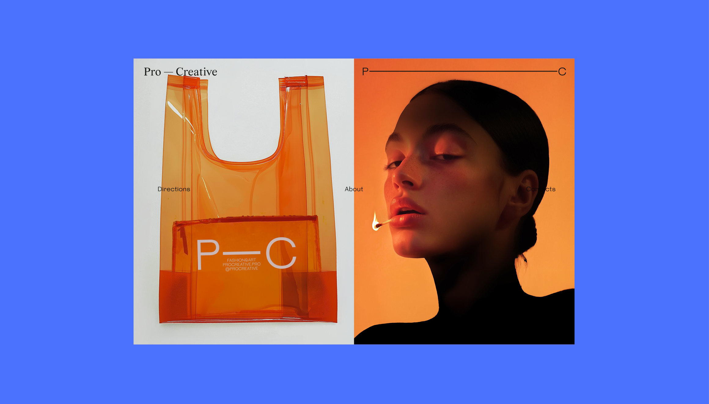 Брендинг Pro—Creative — Изображение №1 — Брендинг на Dprofile