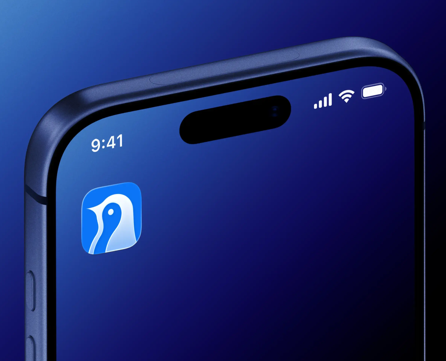 Antarctic Wallet на Dprofile