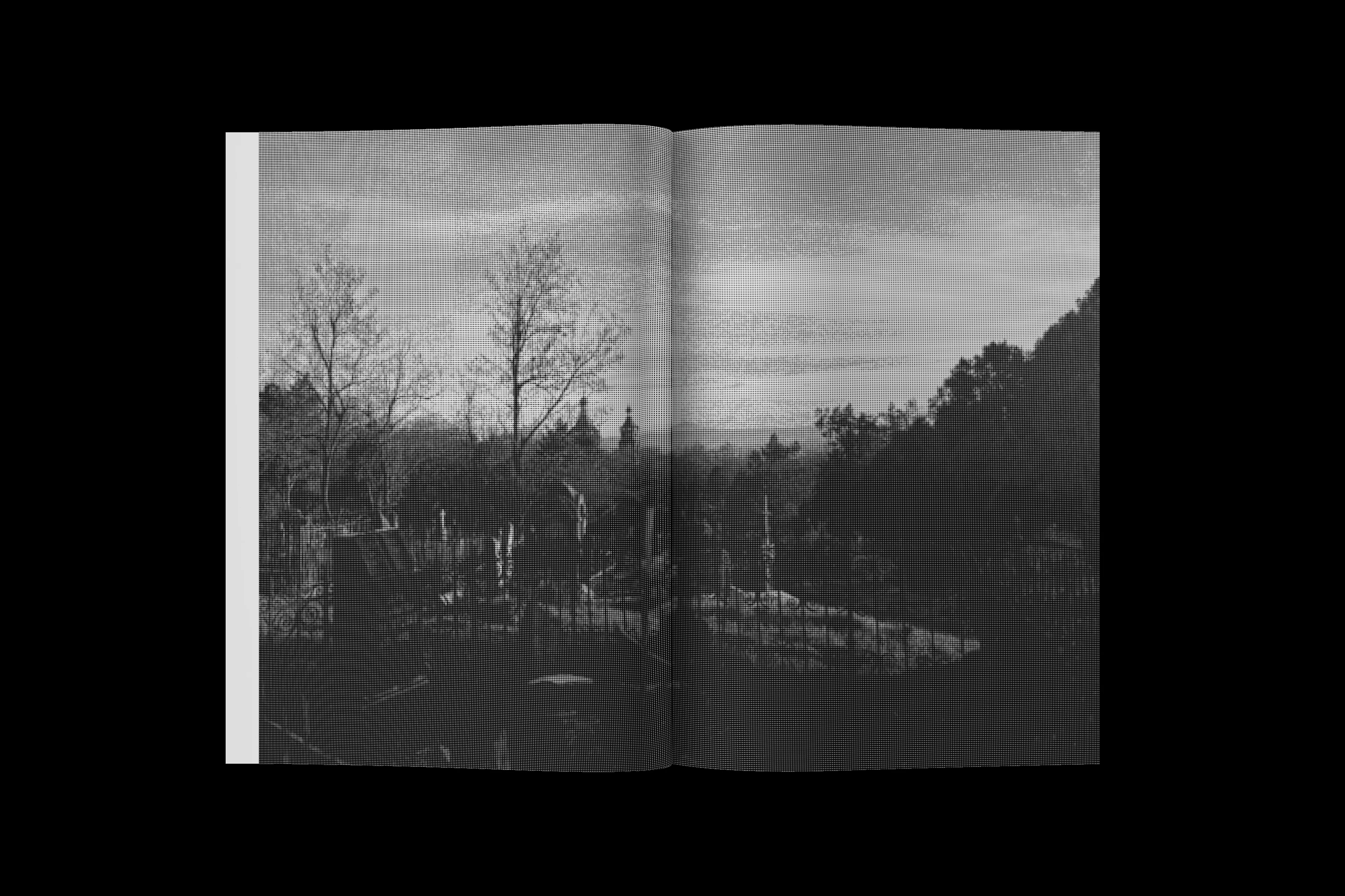 Журнал про Пятигорский Некрополь — Изображение №20 — Графика на Dprofile