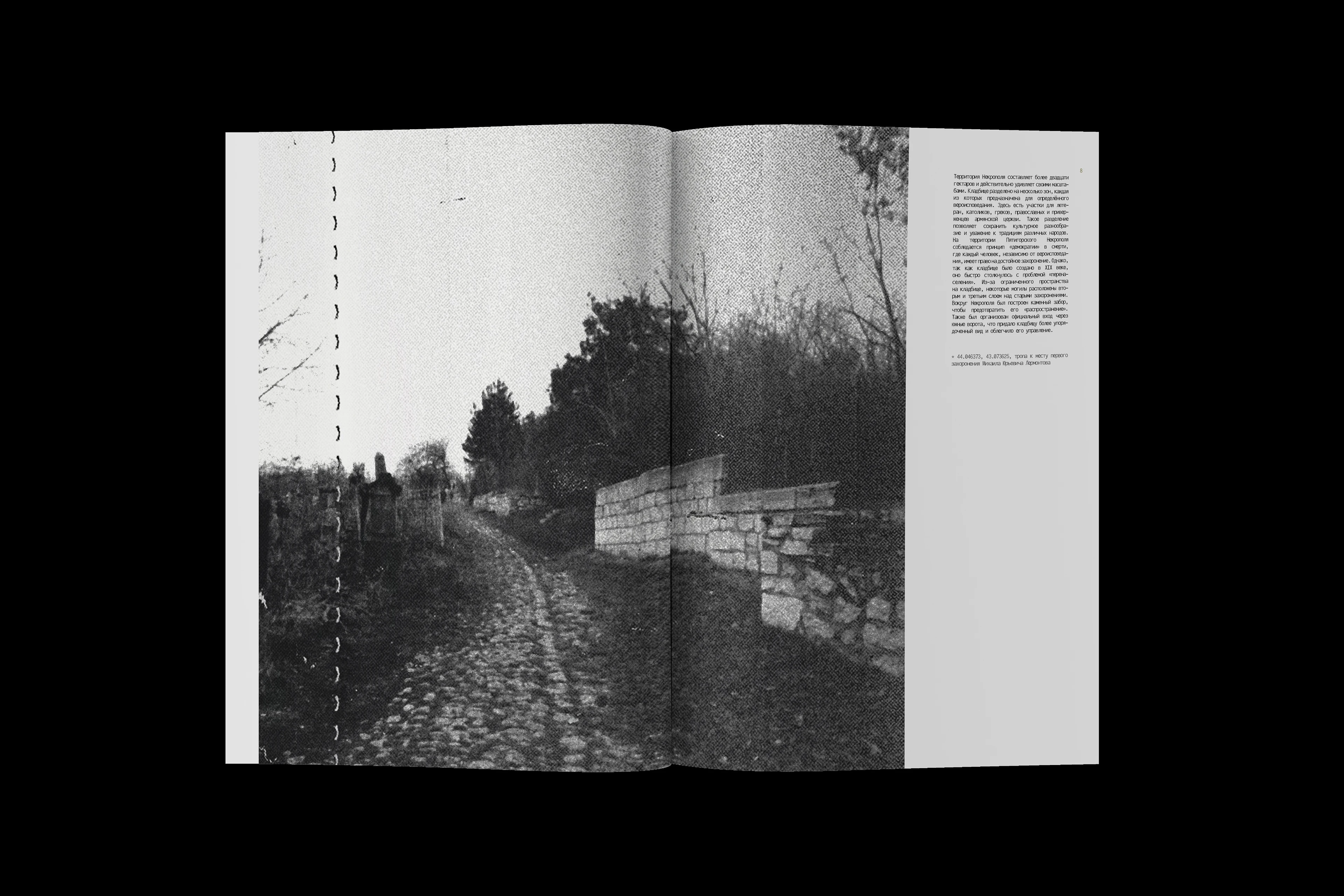 Журнал про Пятигорский Некрополь — Изображение №7 — Графика на Dprofile