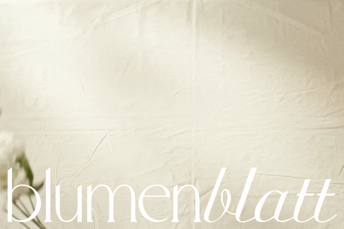 LOGO & BRANDING | floral studio blumenblatt — Изображение №1 — Брендинг на Dprofile