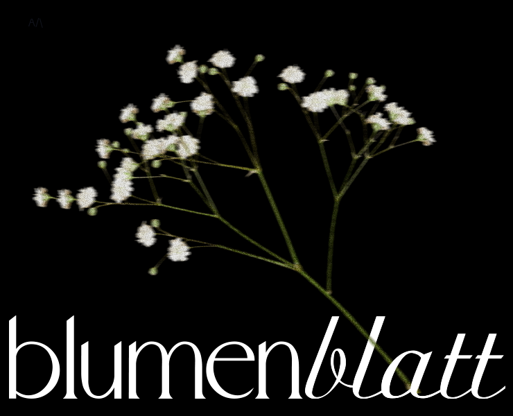 blumenblatt | айдентика цветочной студии на Dprofile