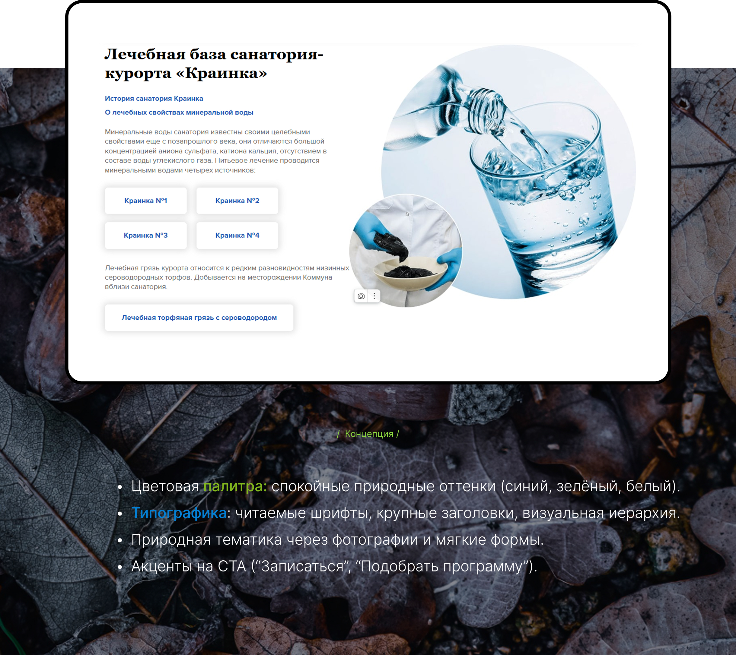 Санаторий Краинка - цифровой опыт оздоровительного курорта — Изображение №3 — Интерфейсы, Брендинг на Dprofile