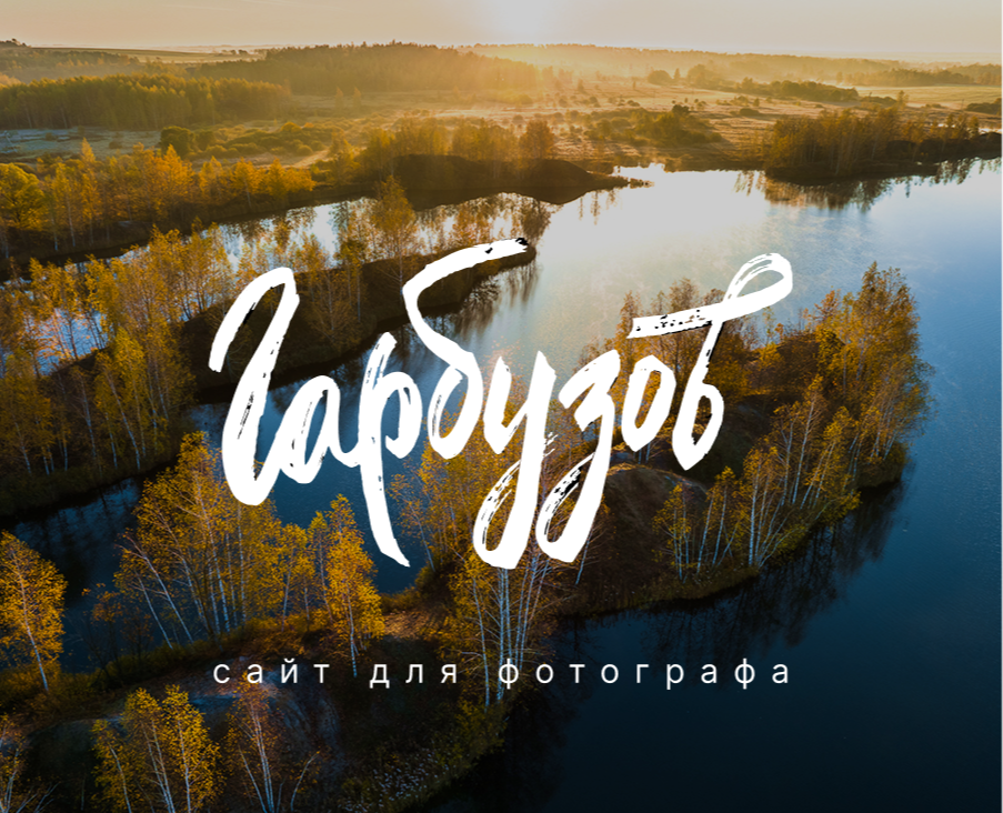 Сайт для фотографа с личным блогом на Dprofile