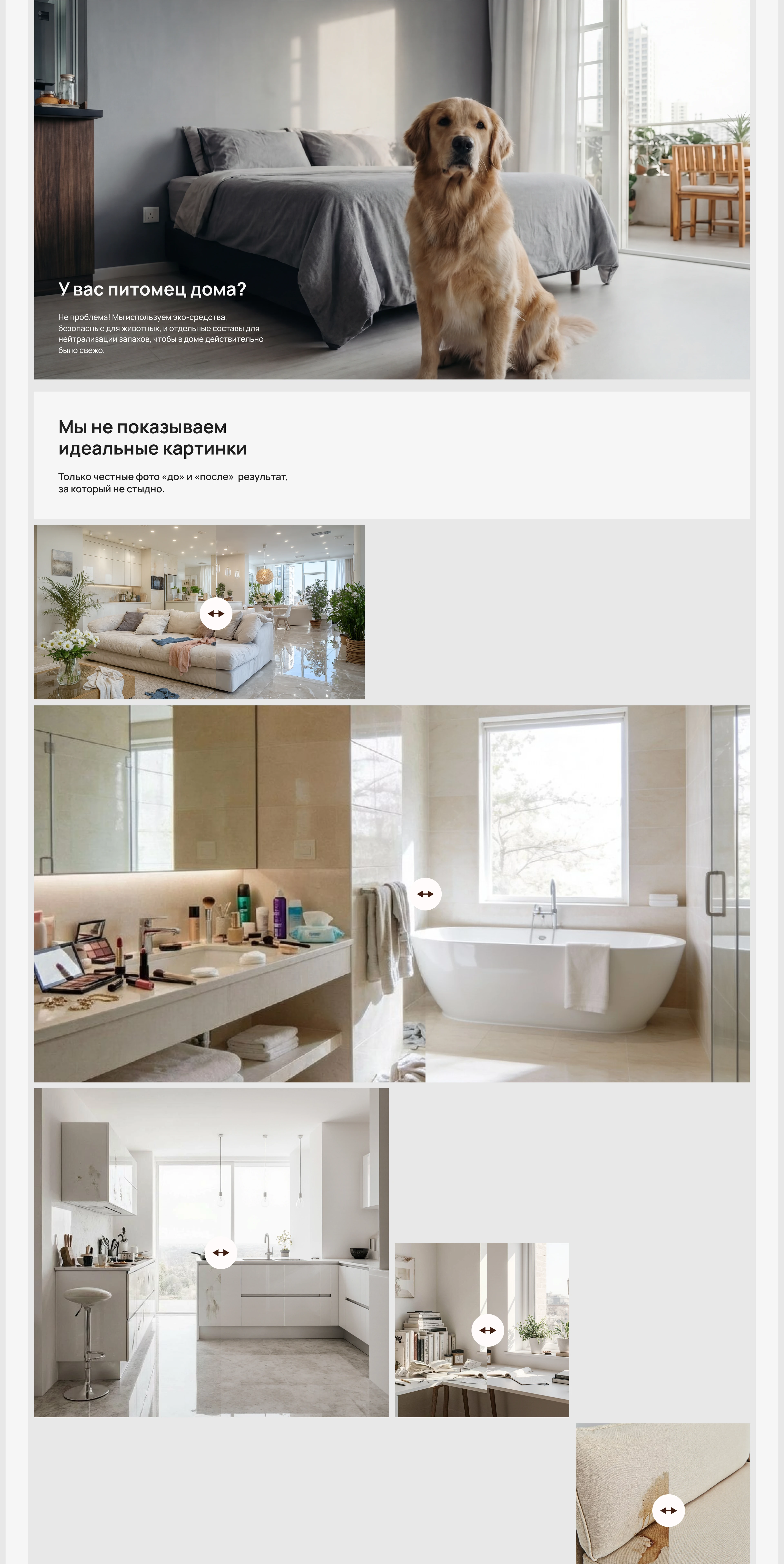 Website, дизайн сайта для клининга — Изображение №9 — Интерфейсы, Брендинг на Dprofile