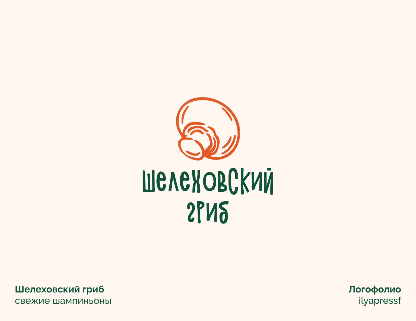 Логофолио | 20 логотипов — Изображение №9 — Брендинг на Dprofile