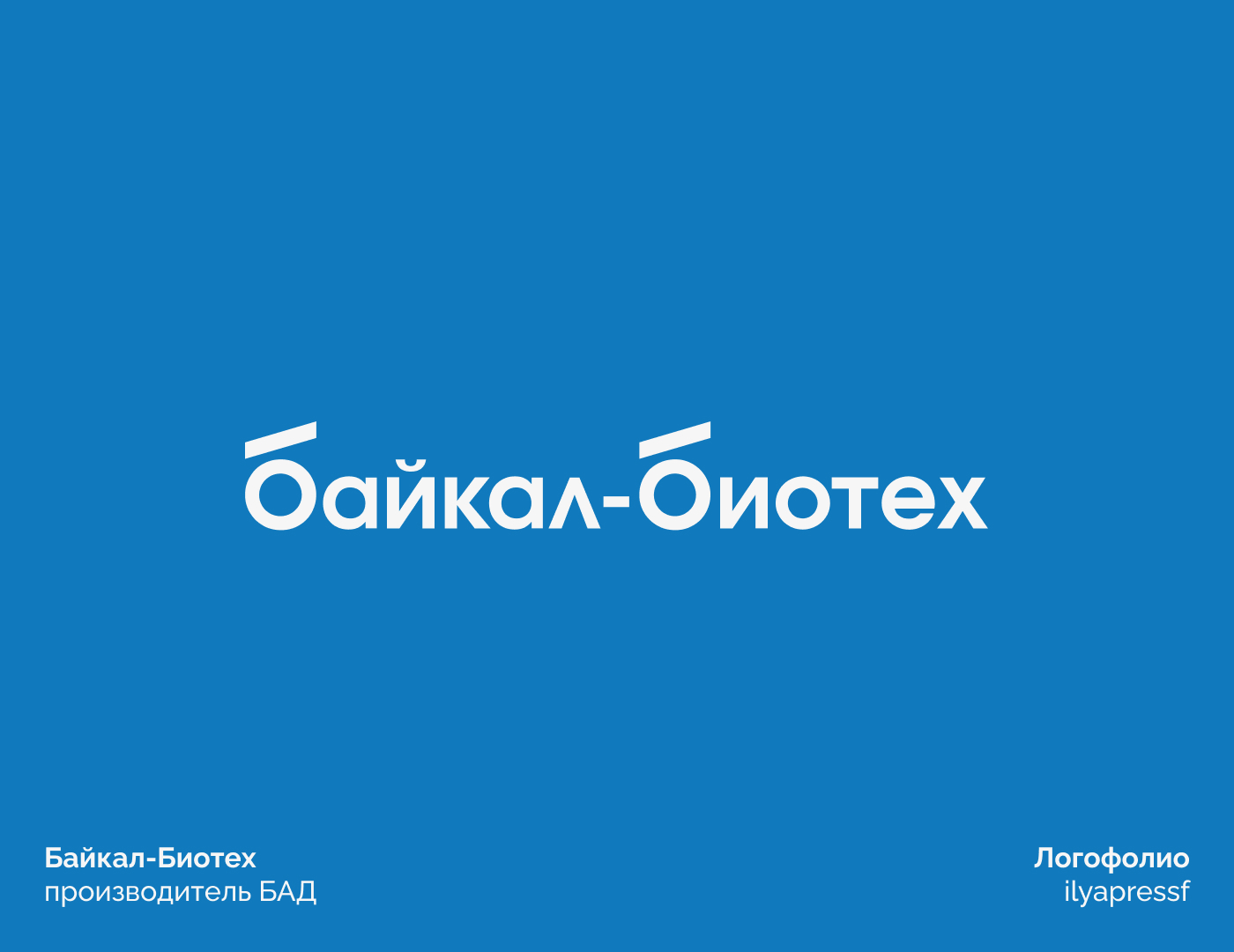 Логофолио | 20 логотипов — Изображение №16 — Брендинг на Dprofile