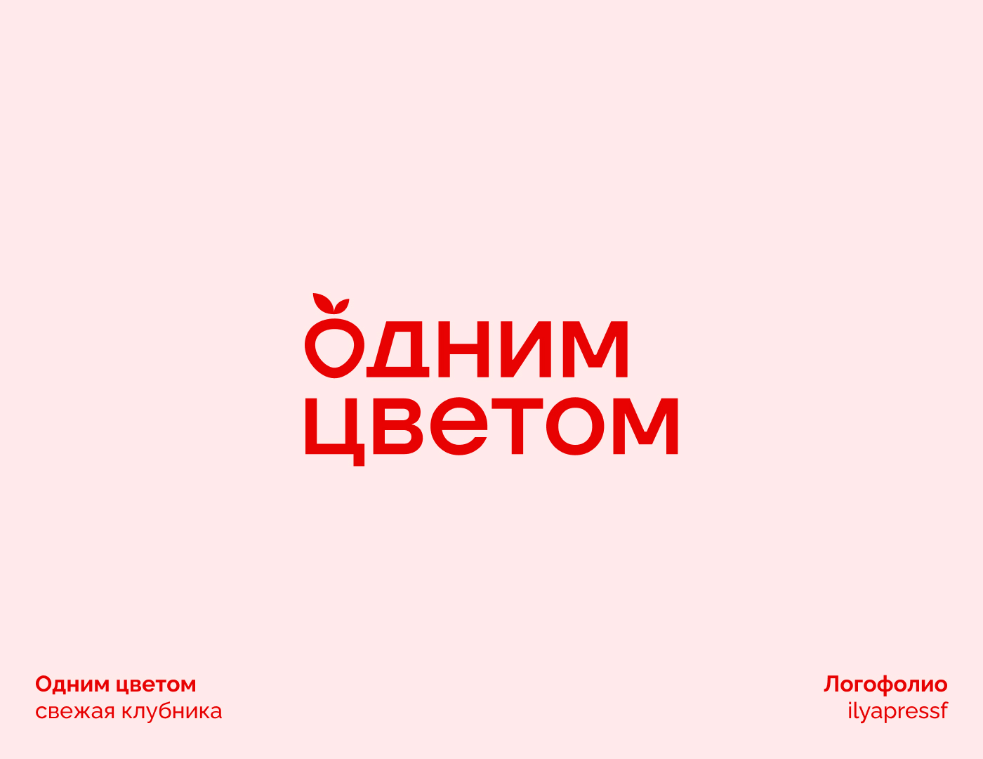 Логофолио | 20 логотипов — Изображение №20 — Брендинг на Dprofile