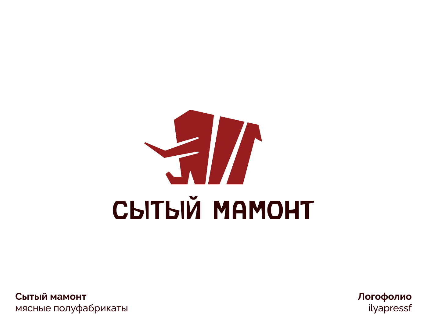 Логофолио | 20 логотипов — Изображение №17 — Брендинг на Dprofile