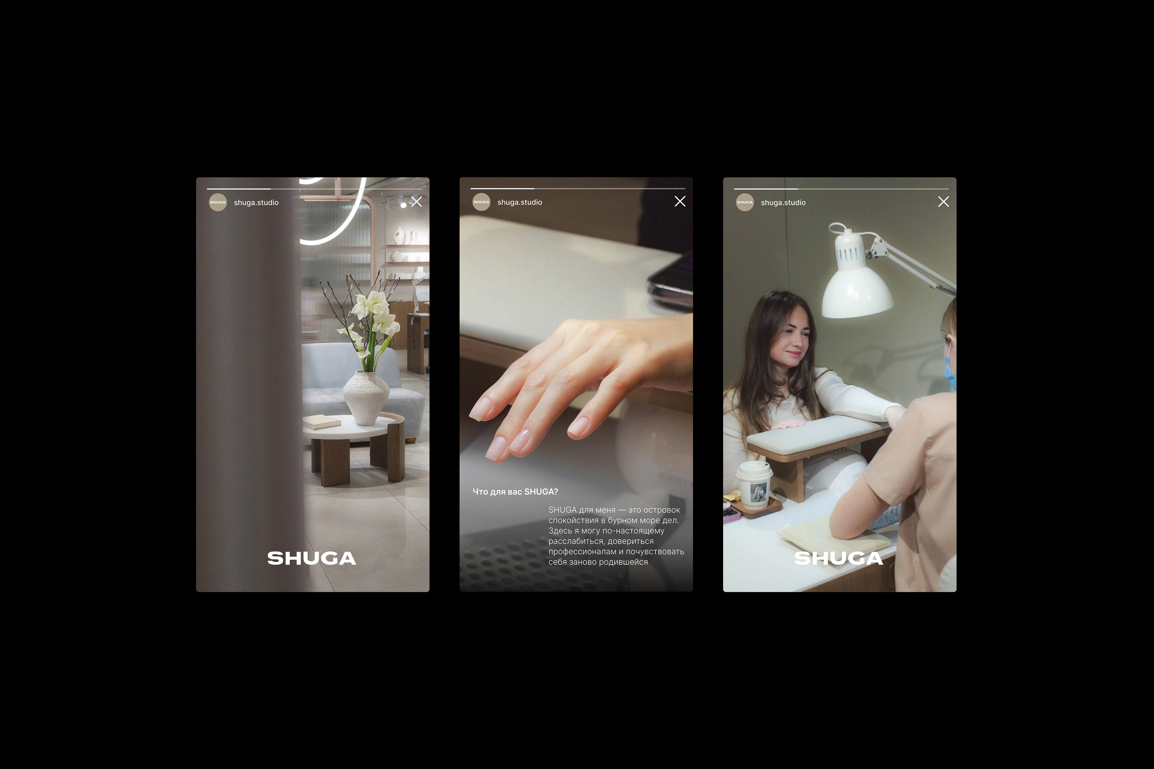 SHUGA — Изображение №11 — Брендинг, Графика на Dprofile