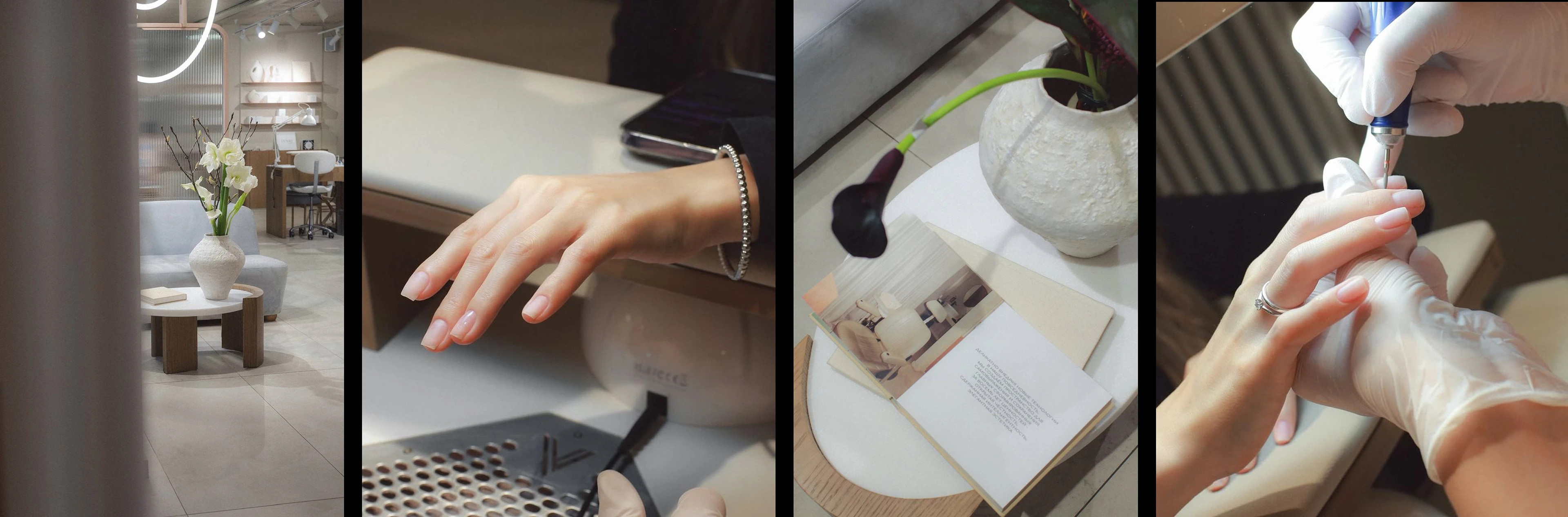 SHUGA — Изображение №2 — Брендинг, Графика на Dprofile