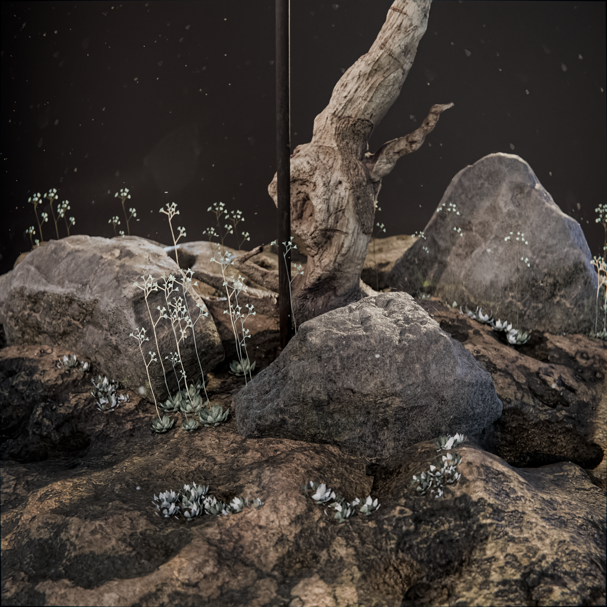 3D флаг в стиле Dark Fantasy — Изображение №7 — Иллюстрация, 3D на Dprofile