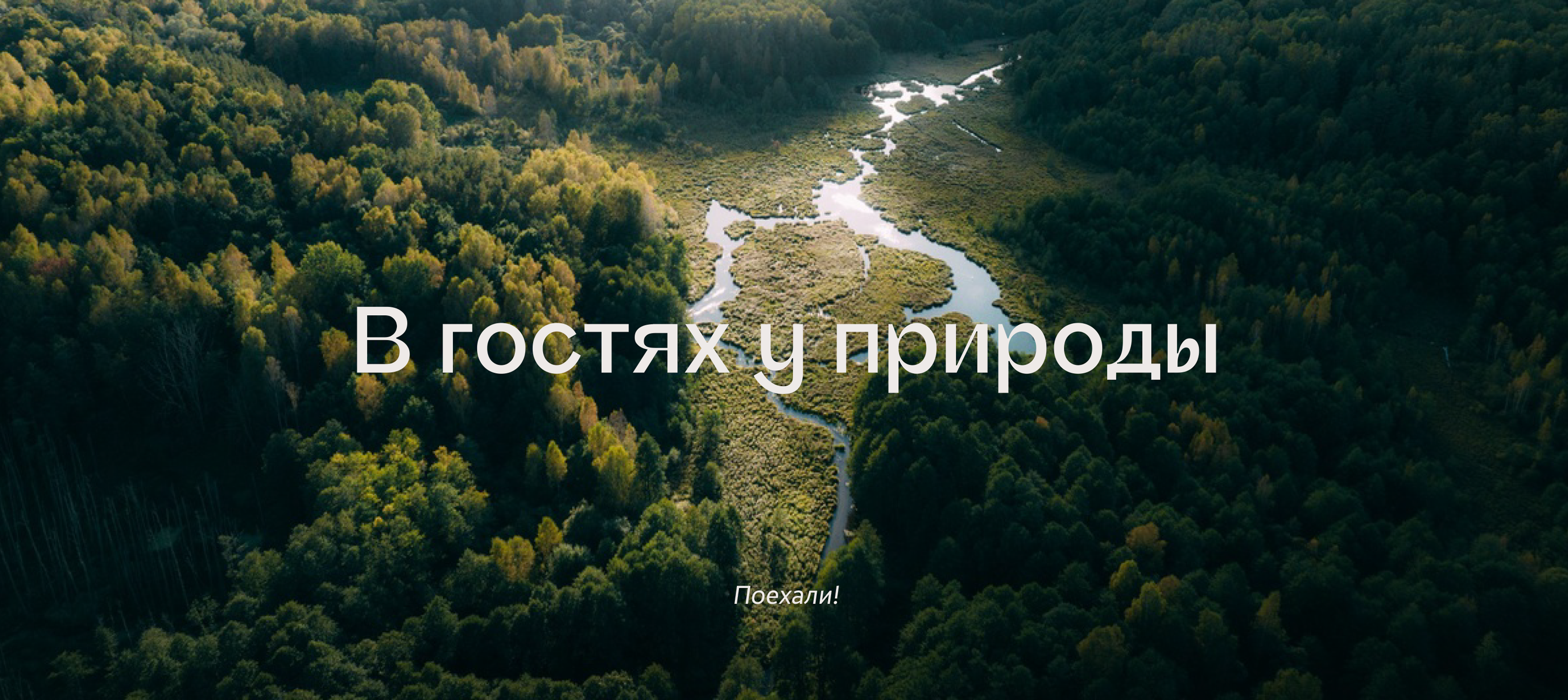 Краснолесье — Изображение №3 — Брендинг, Графика на Dprofile