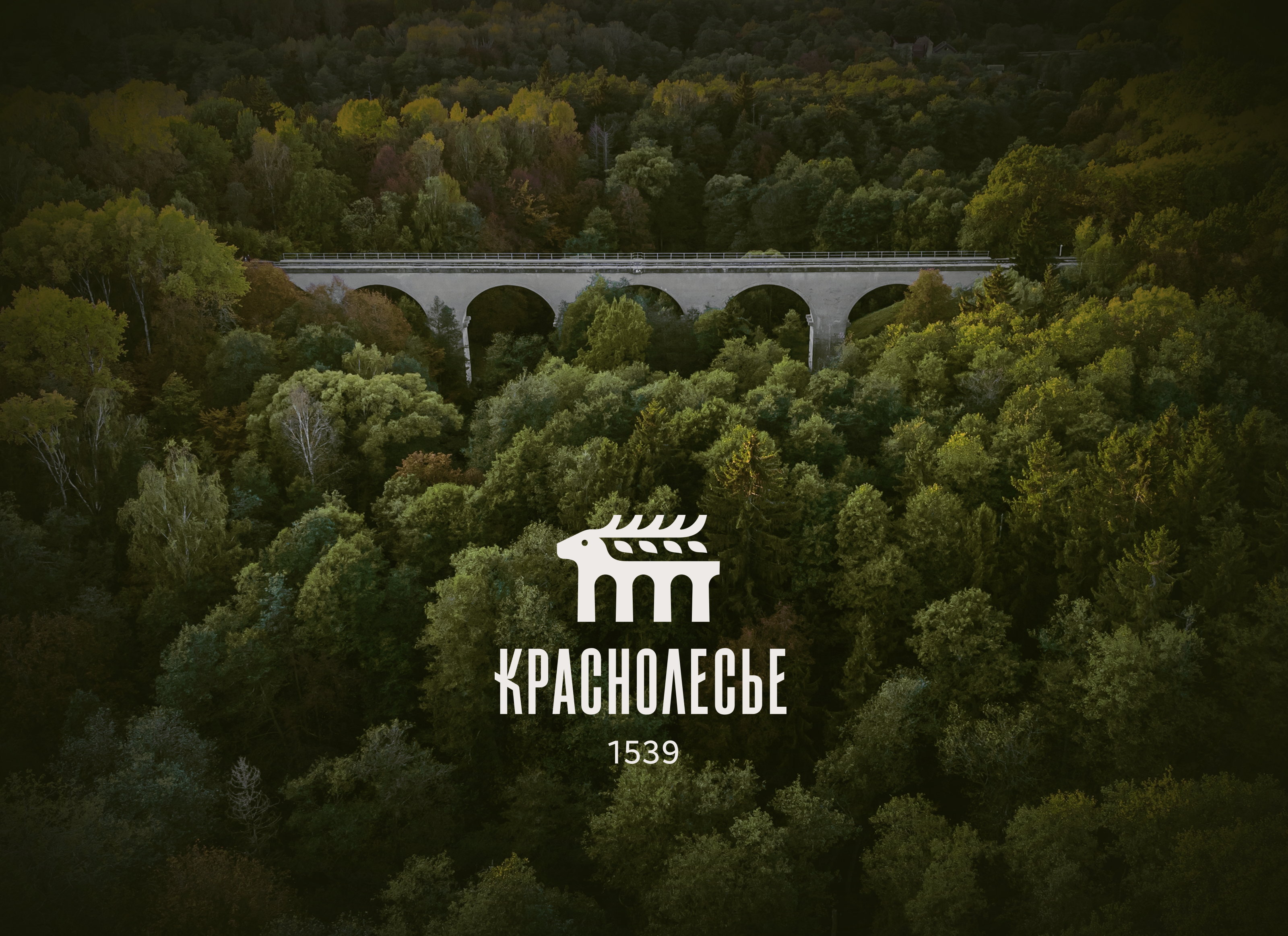 Краснолесье — Изображение №1 — Брендинг, Графика на Dprofile