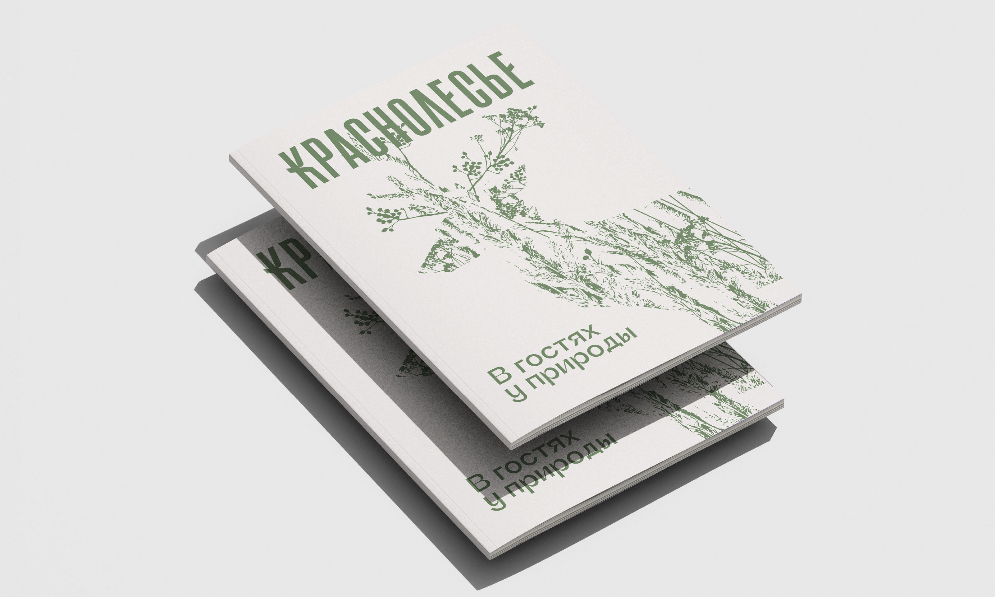 Краснолесье — Изображение №20 — Брендинг, Графика на Dprofile