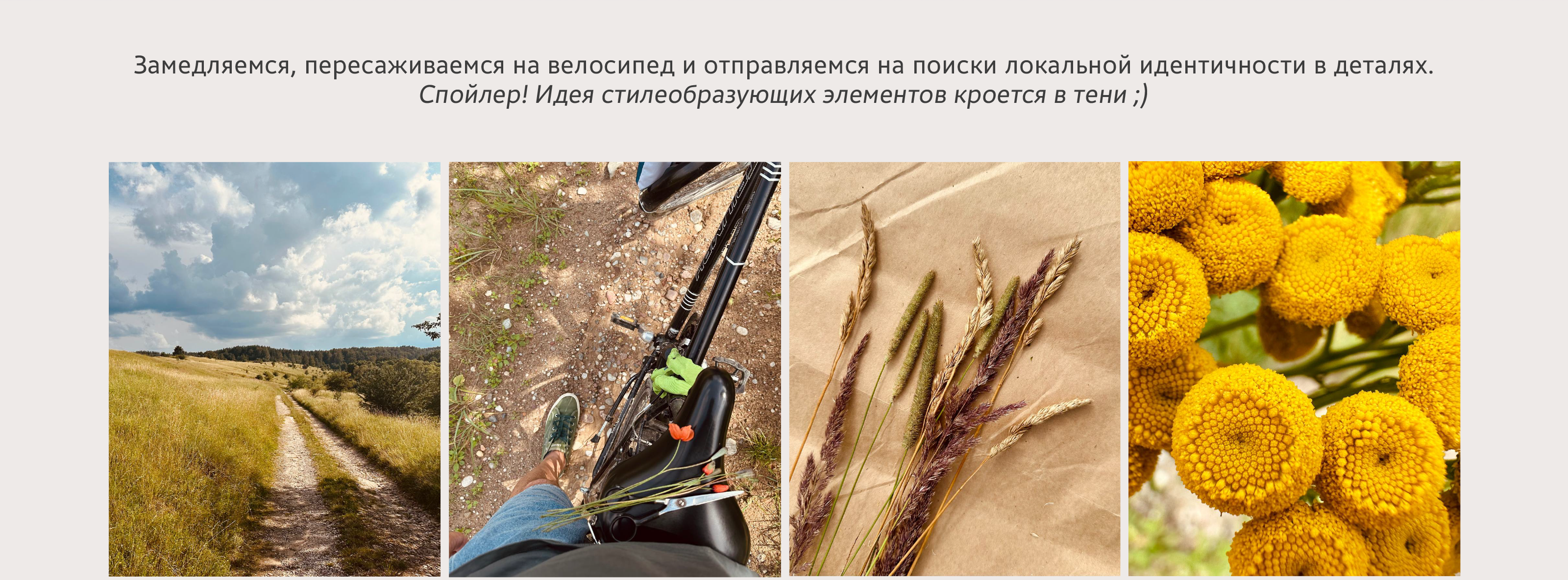 Краснолесье — Изображение №8 — Брендинг, Графика на Dprofile