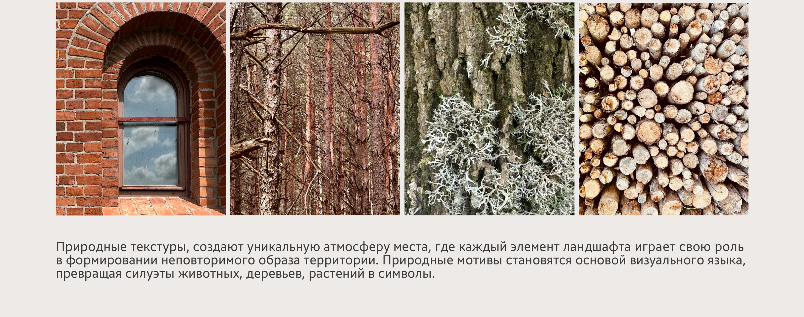 Краснолесье — Изображение №9 — Брендинг, Графика на Dprofile