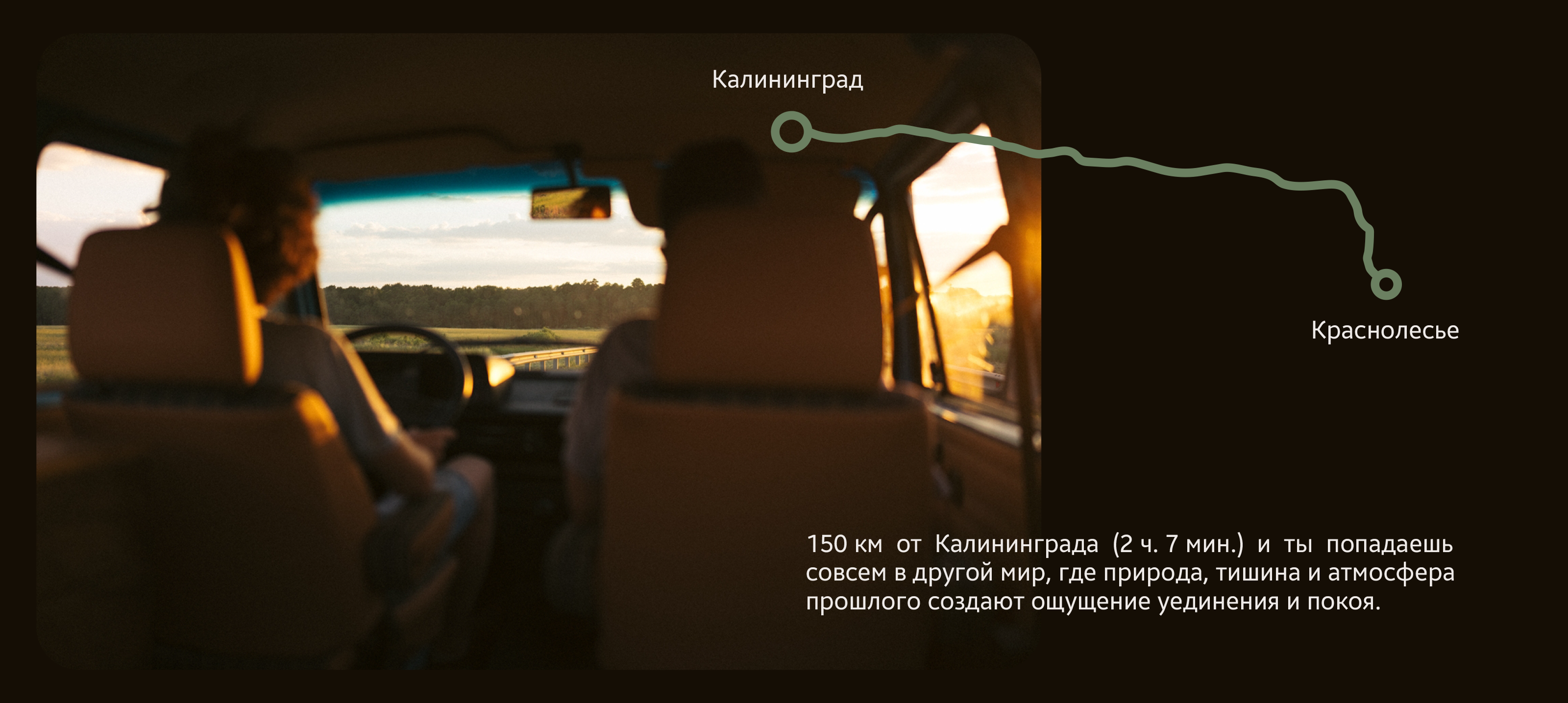 Краснолесье — Изображение №4 — Брендинг, Графика на Dprofile
