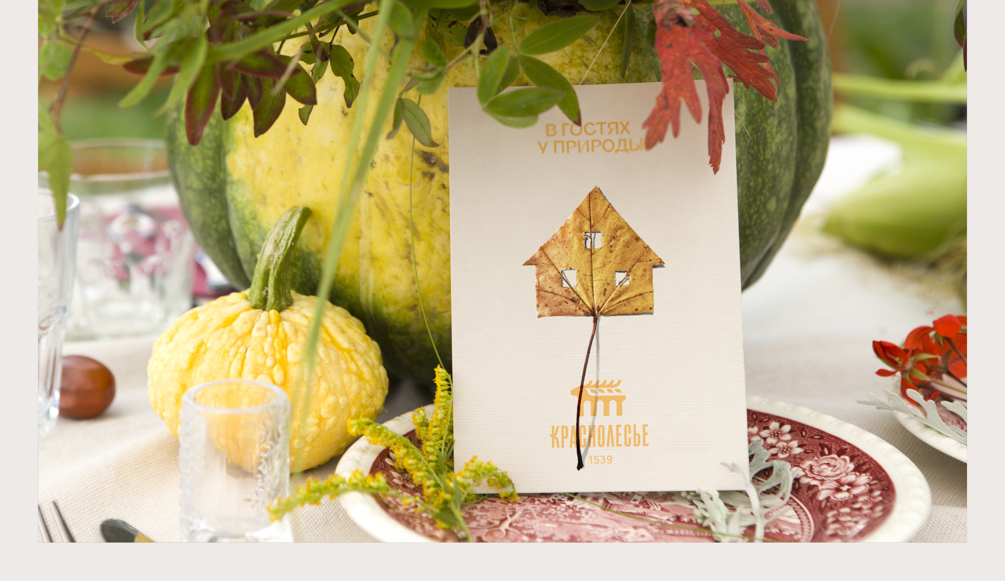 Краснолесье — Изображение №31 — Брендинг, Графика на Dprofile