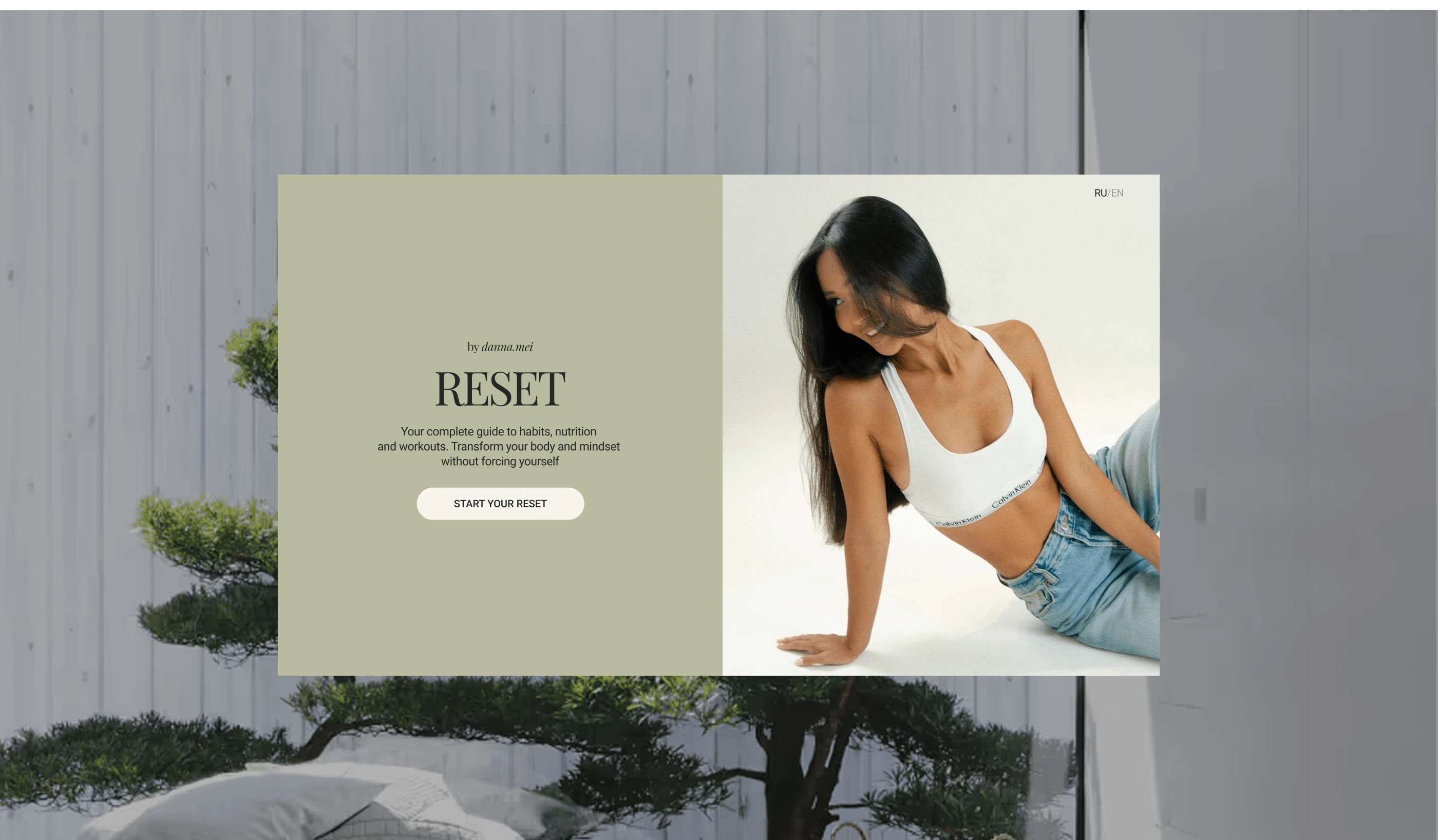 Сайт для продажи гайда по ЗОЖ для блогера — Изображение №3 — Интерфейсы, Анимация на Dprofile