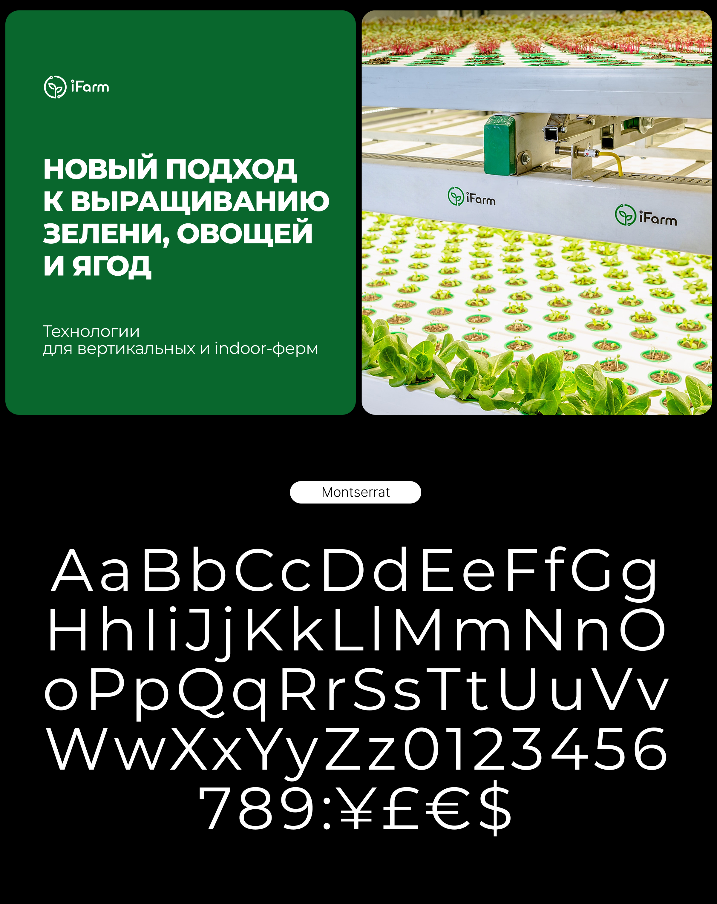 Foodtech / визуальная коммуникация и дизайн для вертикальны… — Изображение №2 — Брендинг, Промдизайн на Dprofile