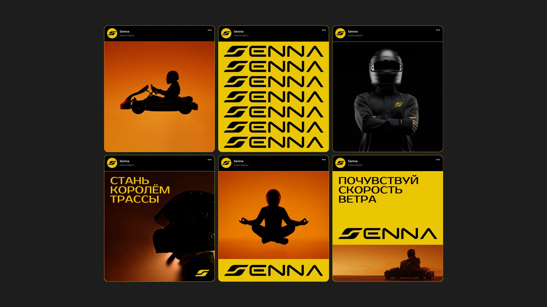 картинг SENNA — Изображение №14 — Брендинг на Dprofile