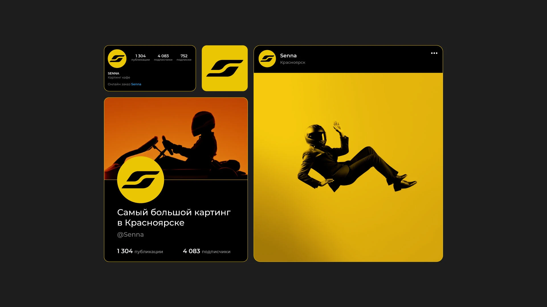 картинг SENNA — Изображение №12 — Брендинг на Dprofile