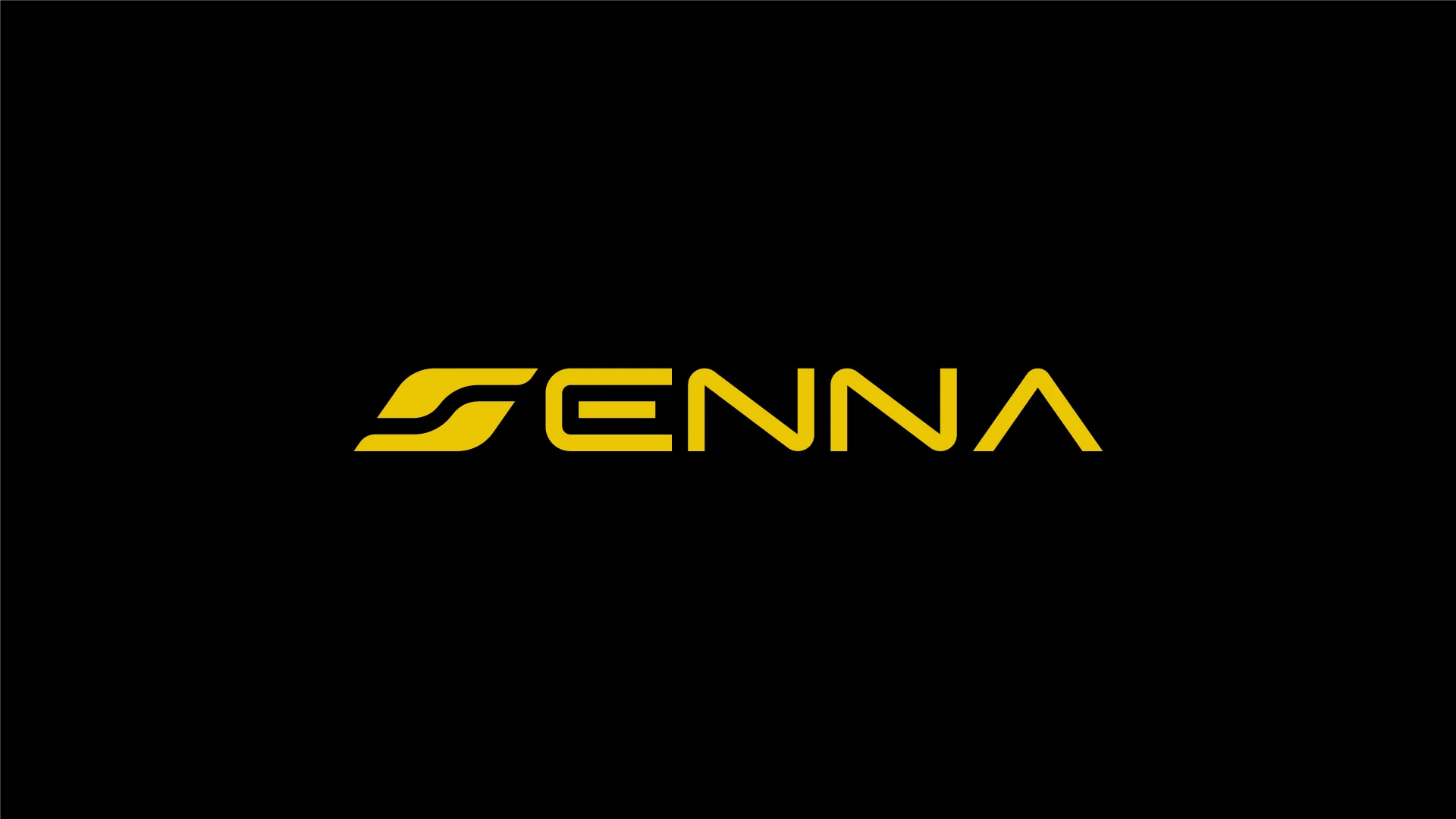 картинг SENNA — Изображение №4 — Брендинг на Dprofile