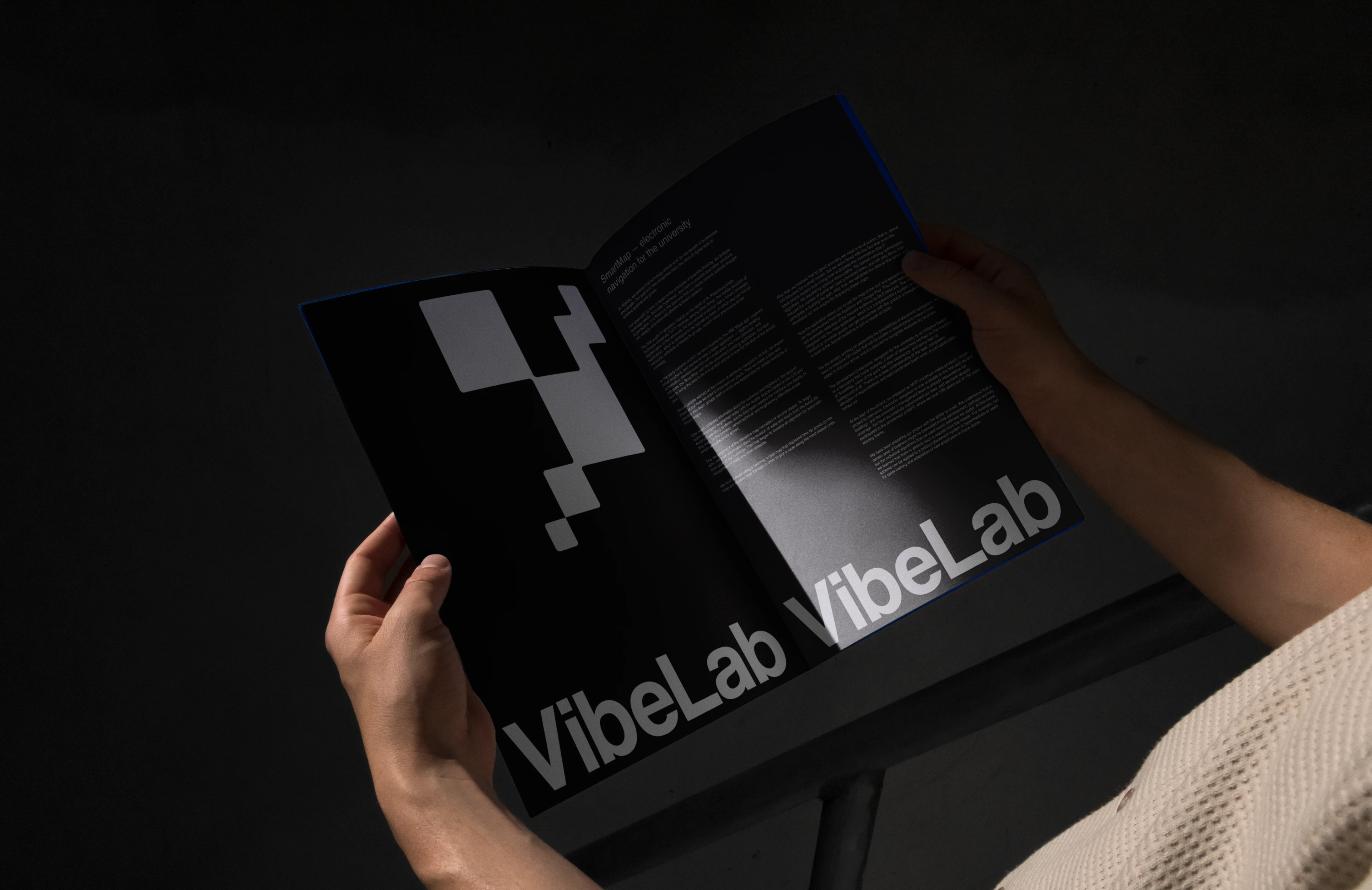 VibeLab. Redesign corporate website — Изображение №8 — Интерфейсы, Графика на Dprofile