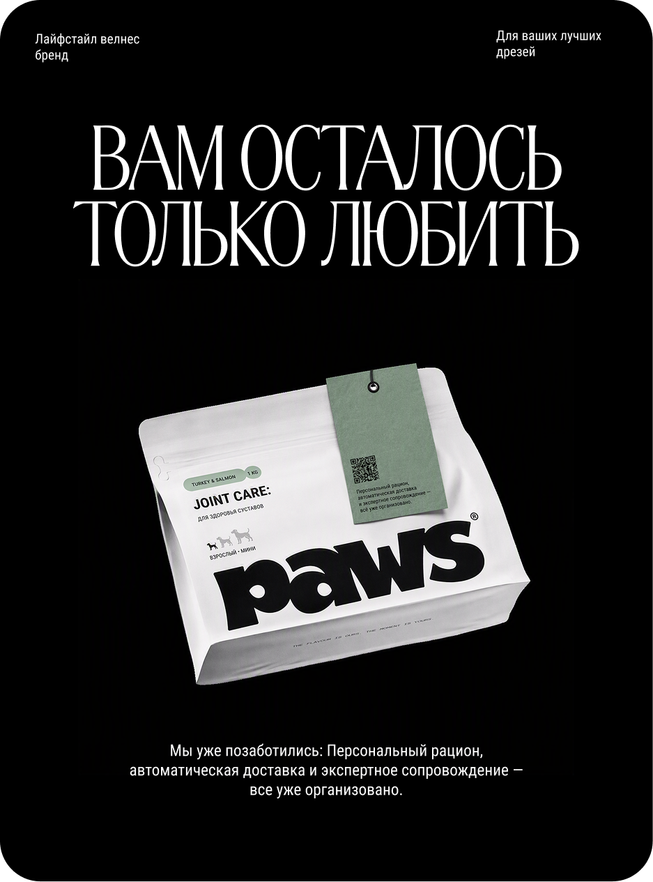 PAWS — Изображение №4 — Брендинг на Dprofile