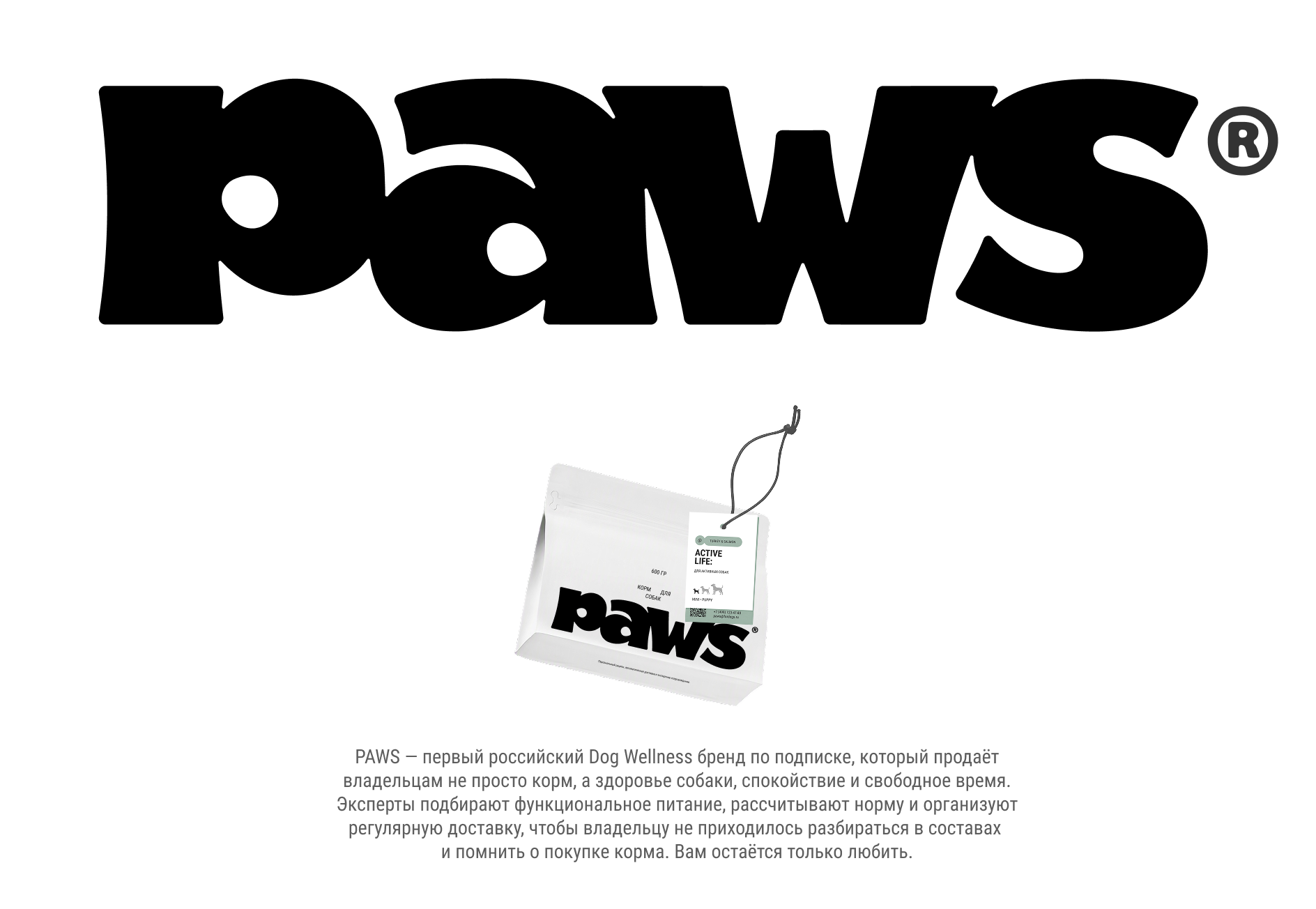PAWS — Изображение №14 — Брендинг на Dprofile