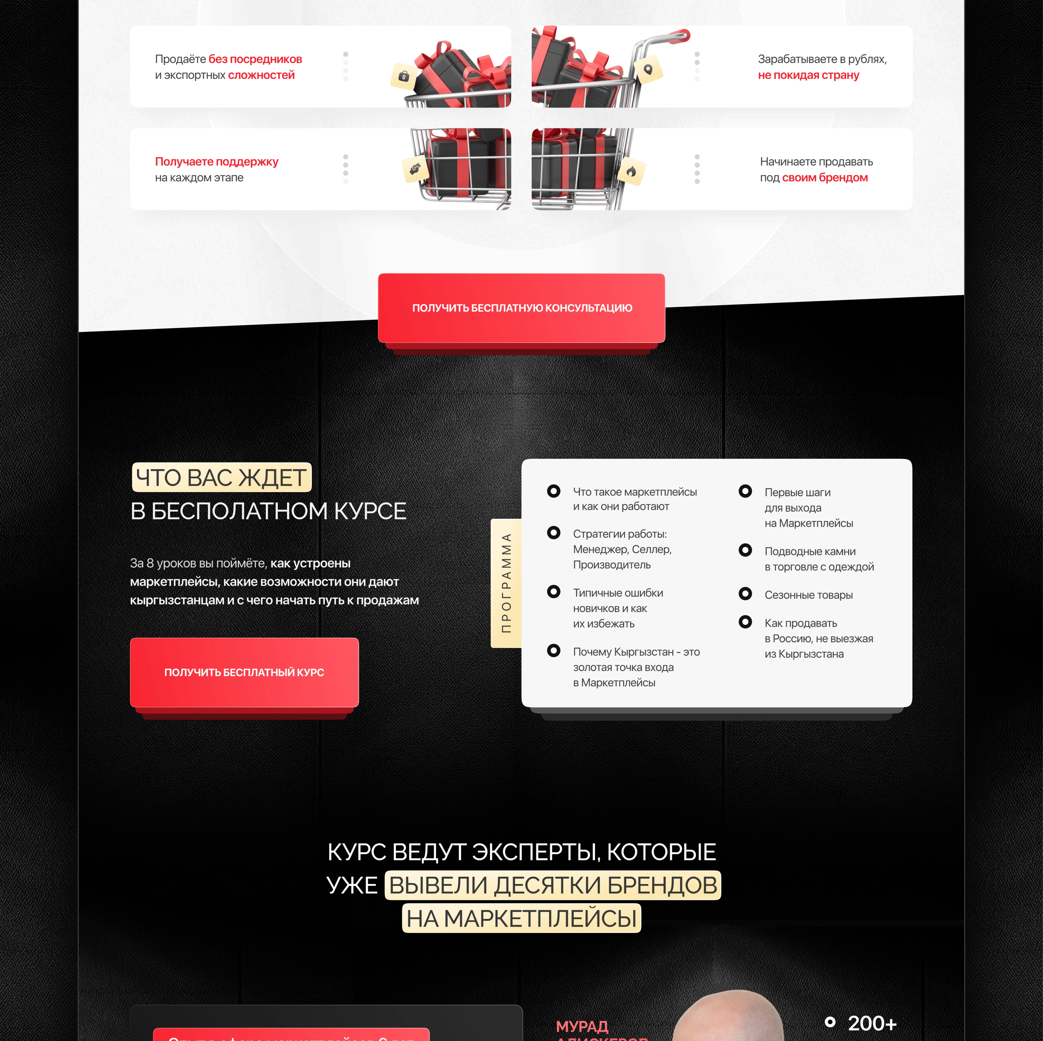 Landing page for course/Сайт для курса по маркетплейсам — Изображение №4 — Интерфейсы, Графика на Dprofile
