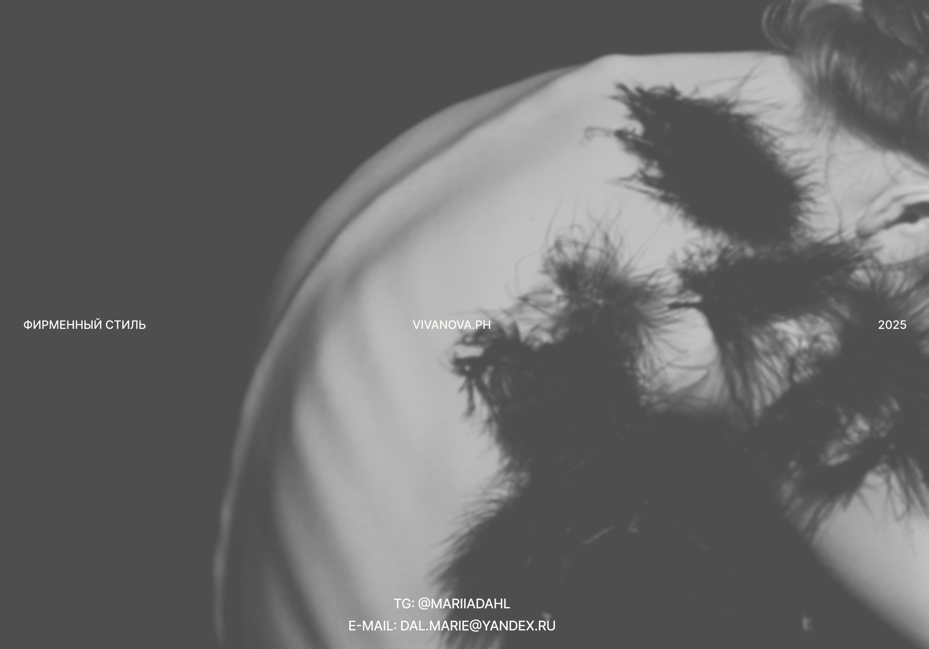 BRAND IDENTITY | ФИРМЕННЫЙ СТИЛЬ | VIVANOVA.PH — Изображение №9 — Брендинг на Dprofile