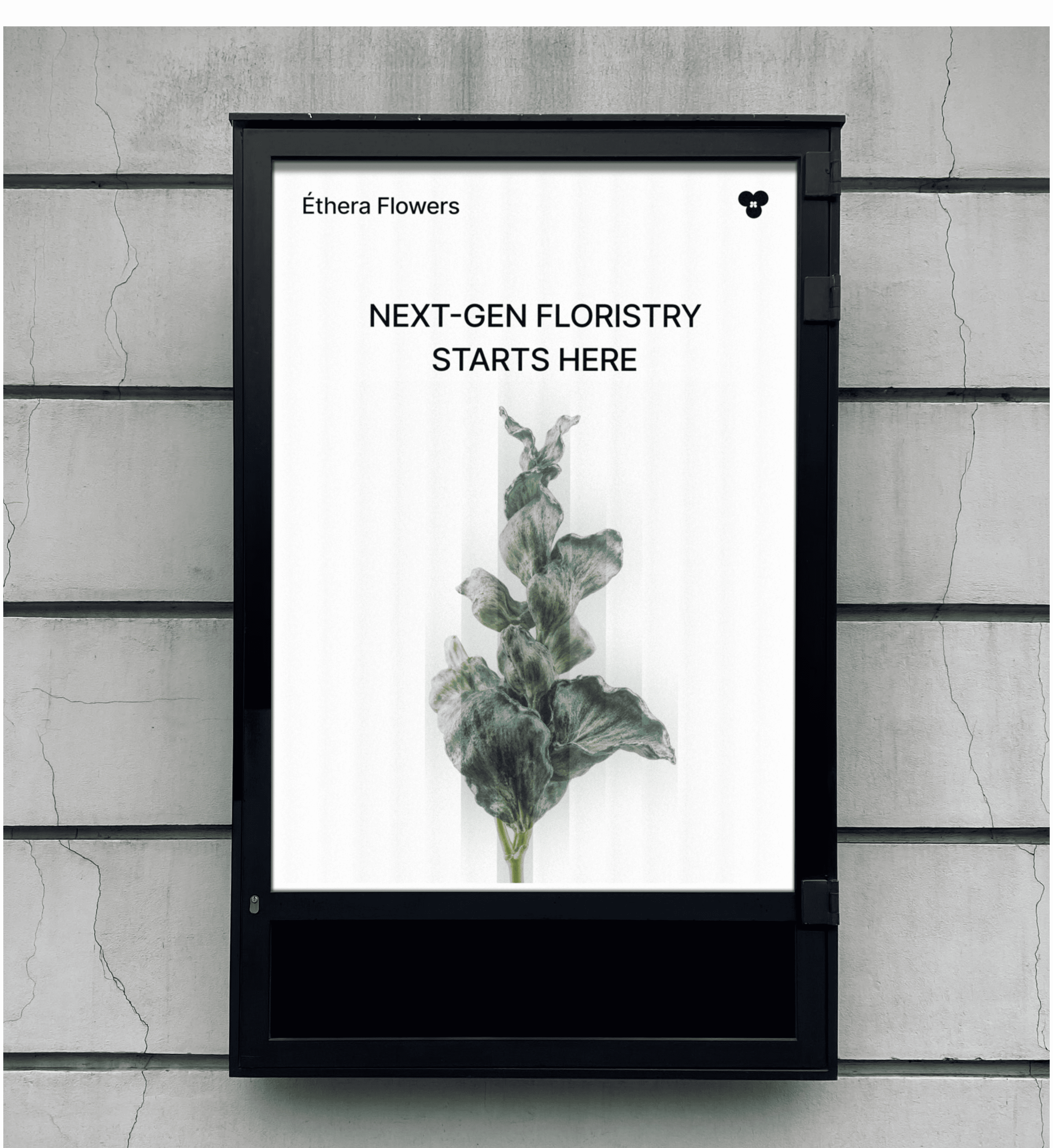 Éthera Flowers | брендинг, графика — Изображение №7 — Брендинг, Графика на Dprofile