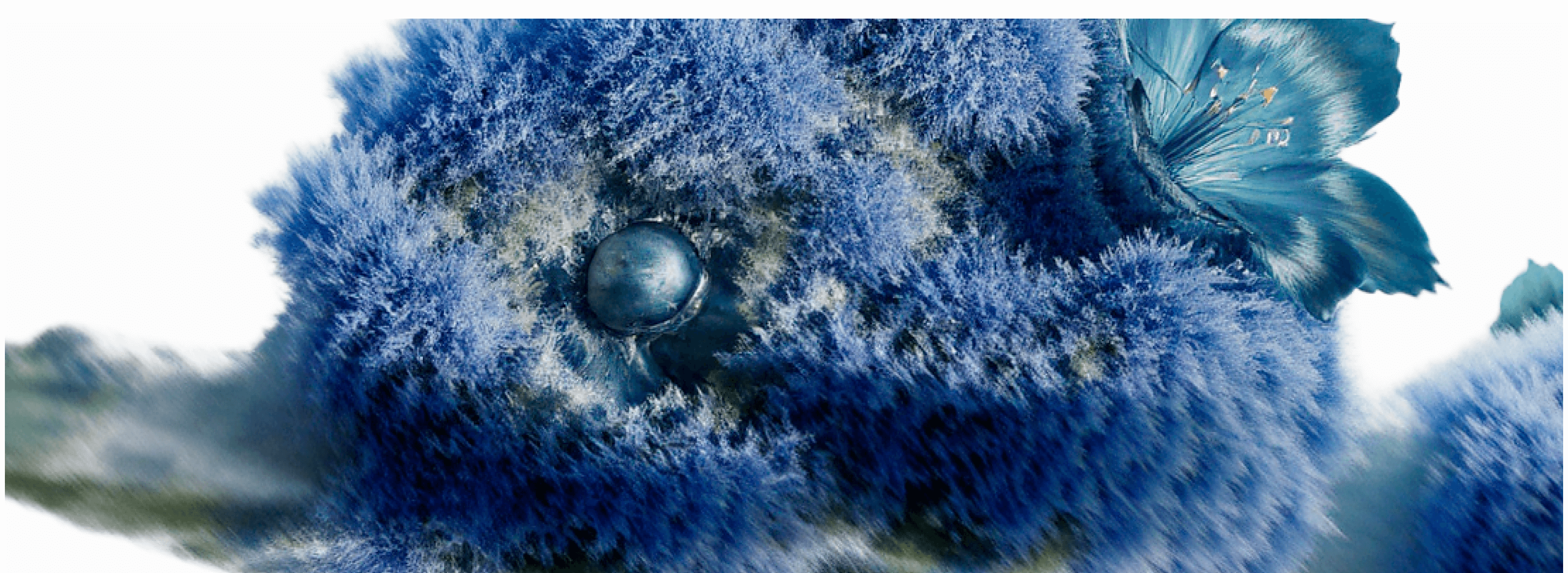 Éthera Flowers | брендинг, графика — Изображение №3 — Брендинг, Графика на Dprofile