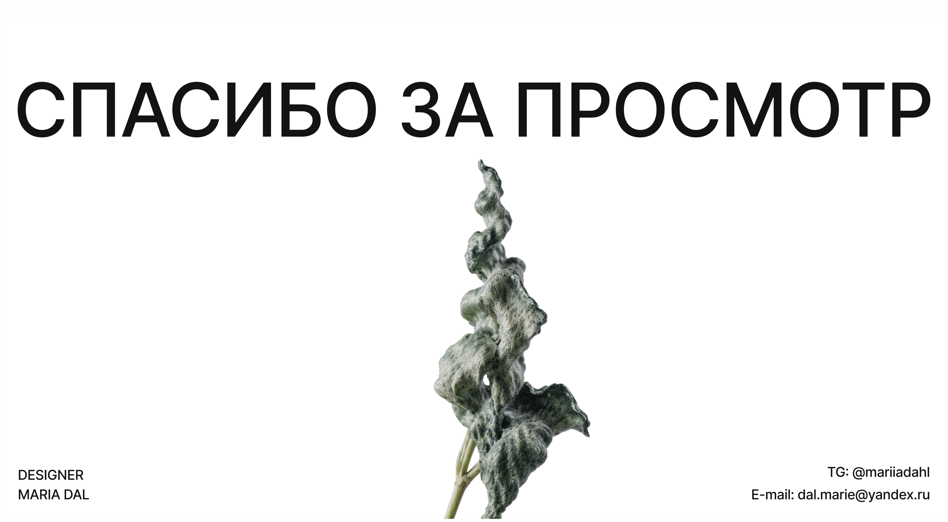 Éthera Flowers | брендинг, графика — Изображение №8 — Брендинг, Графика на Dprofile