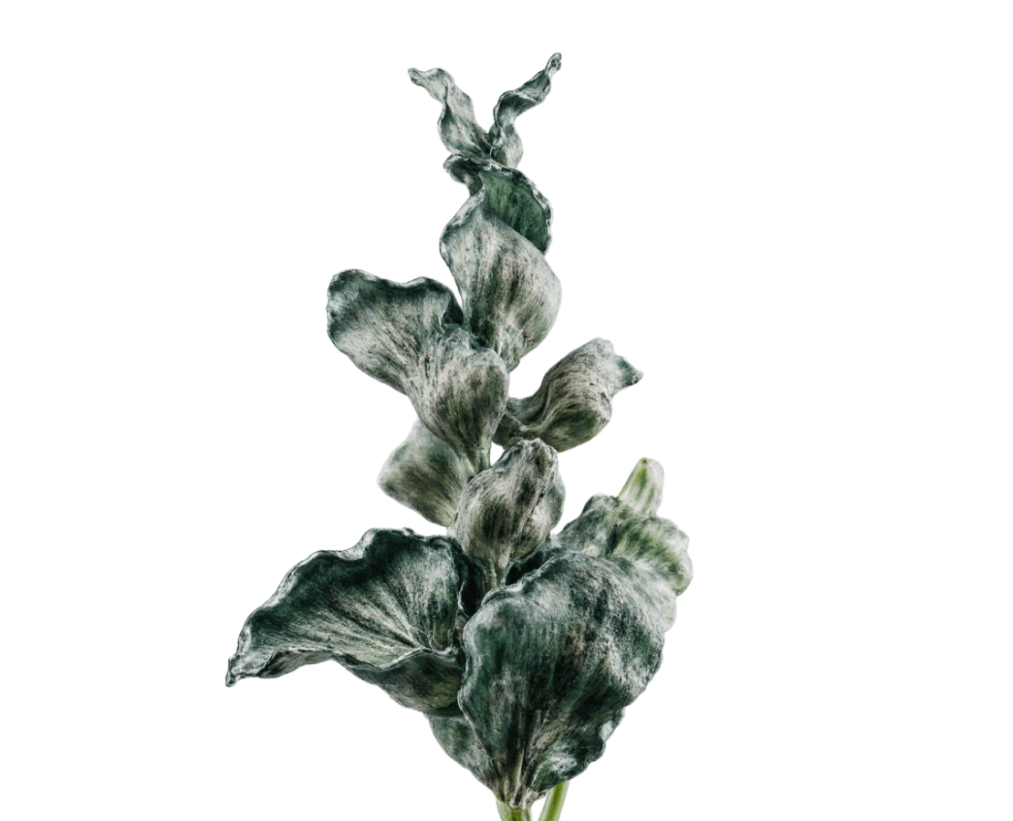 Éthera Flowers | брендинг, графика на Dprofile