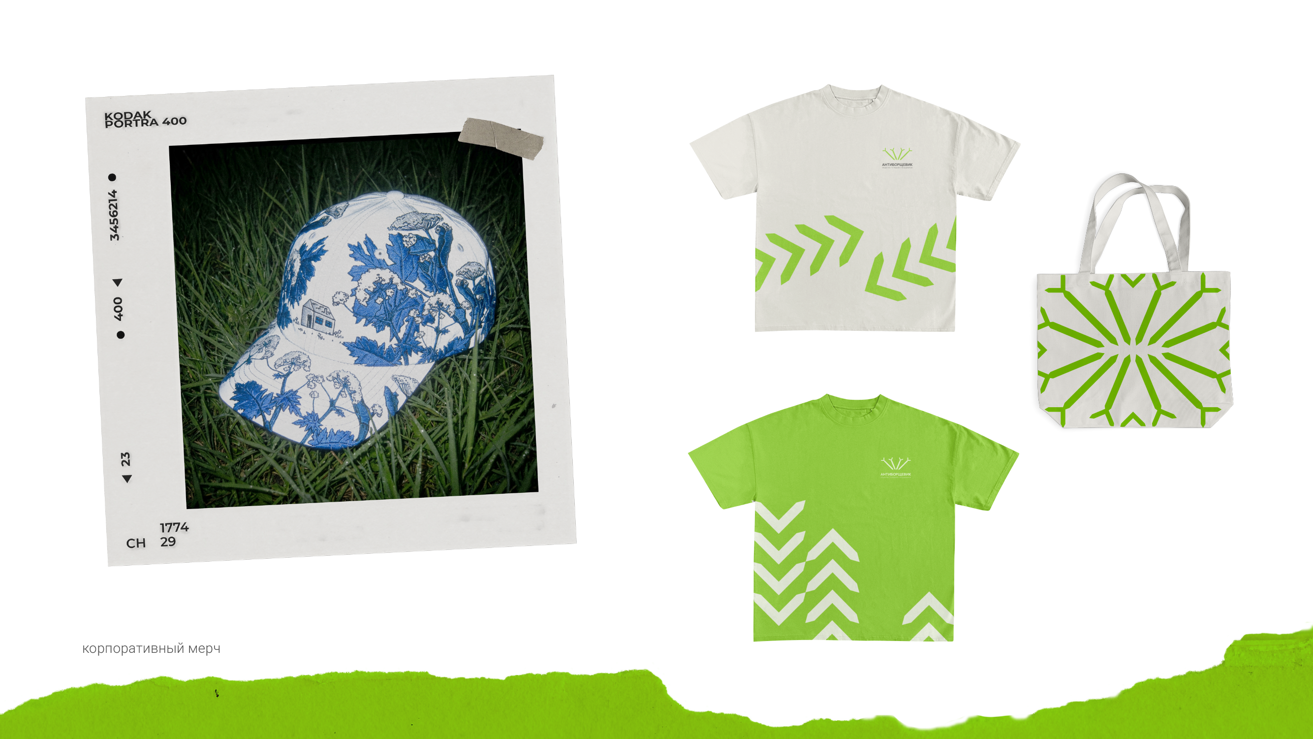Антиборщевик. Фирменный стиль — Изображение №6 — Брендинг на Dprofile