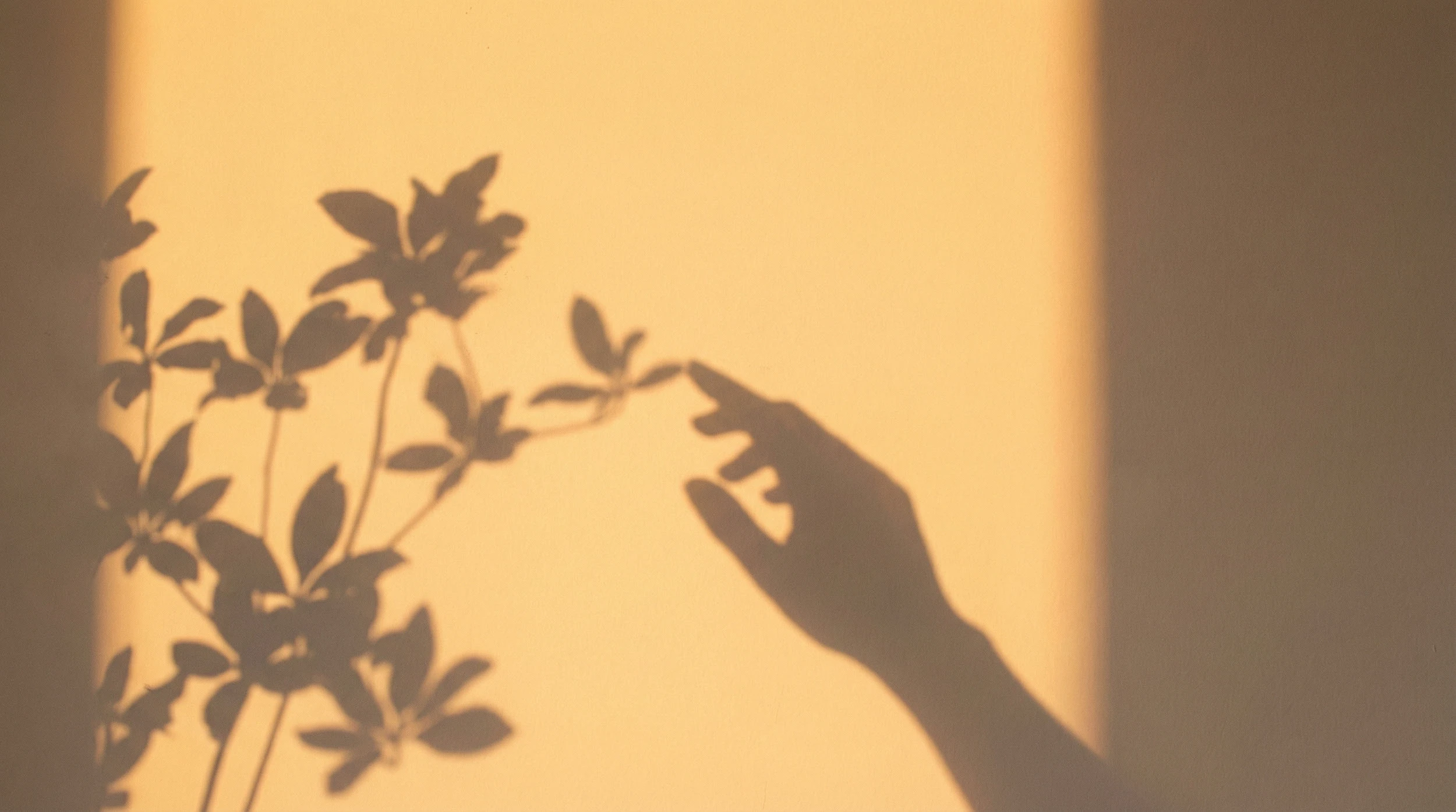 Айдентика для психологического комьюнити — Изображение №1 — Брендинг на Dprofile