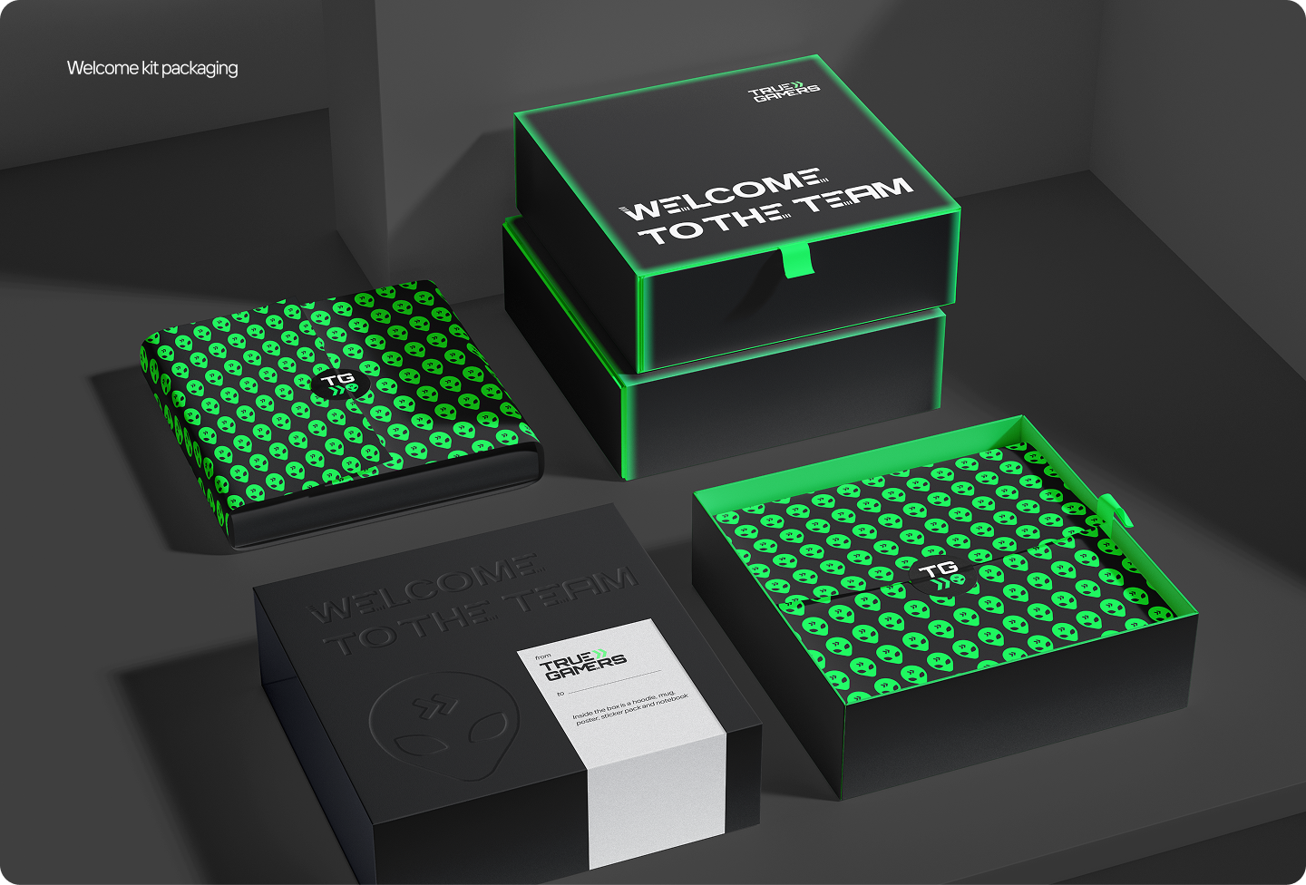 Corporate Merch Design for True Gamers — Изображение №2 — Брендинг, Графика на Dprofile