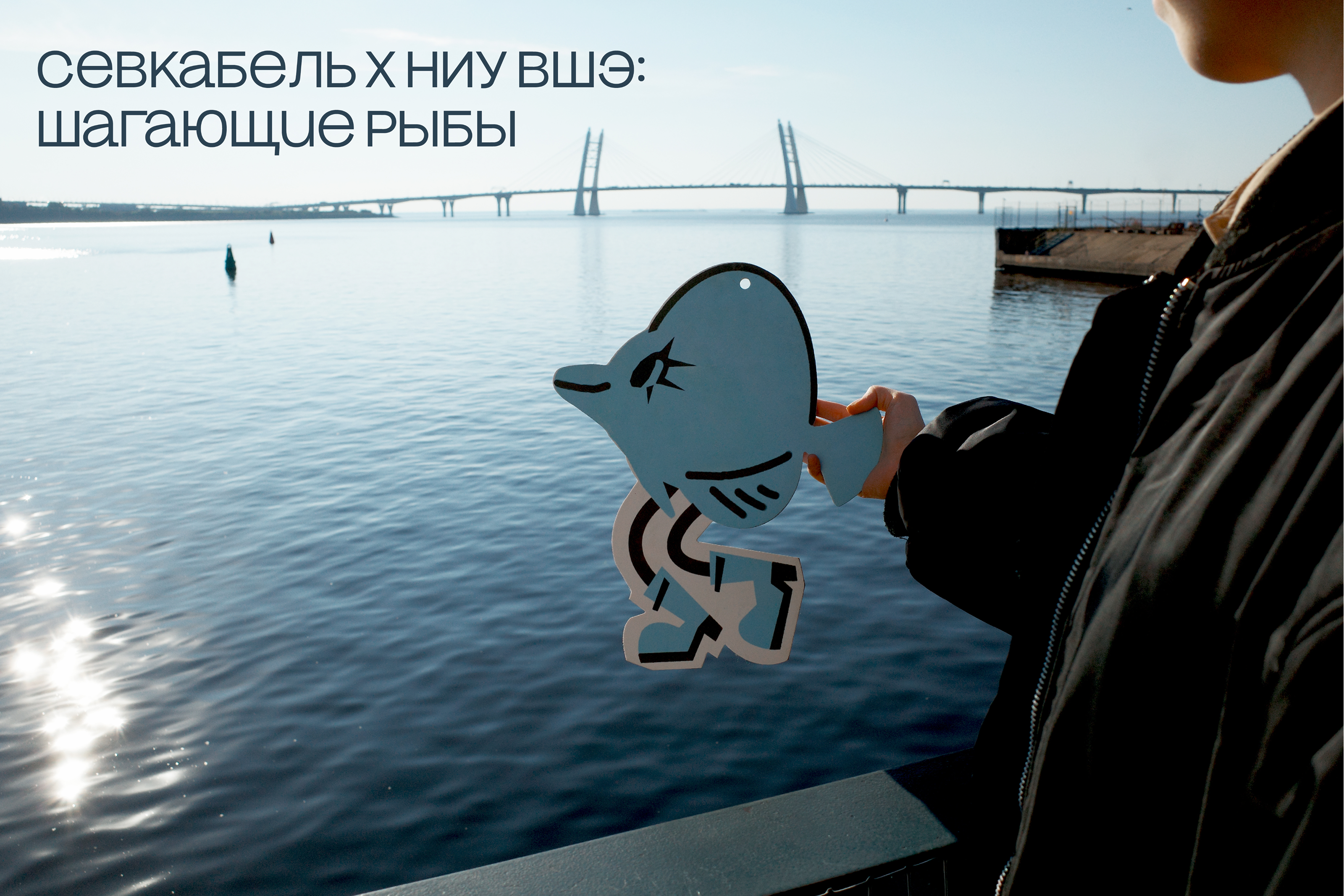 Рыбы с ногами. Серия иллюстраций — Изображение №1 — Иллюстрация на Dprofile