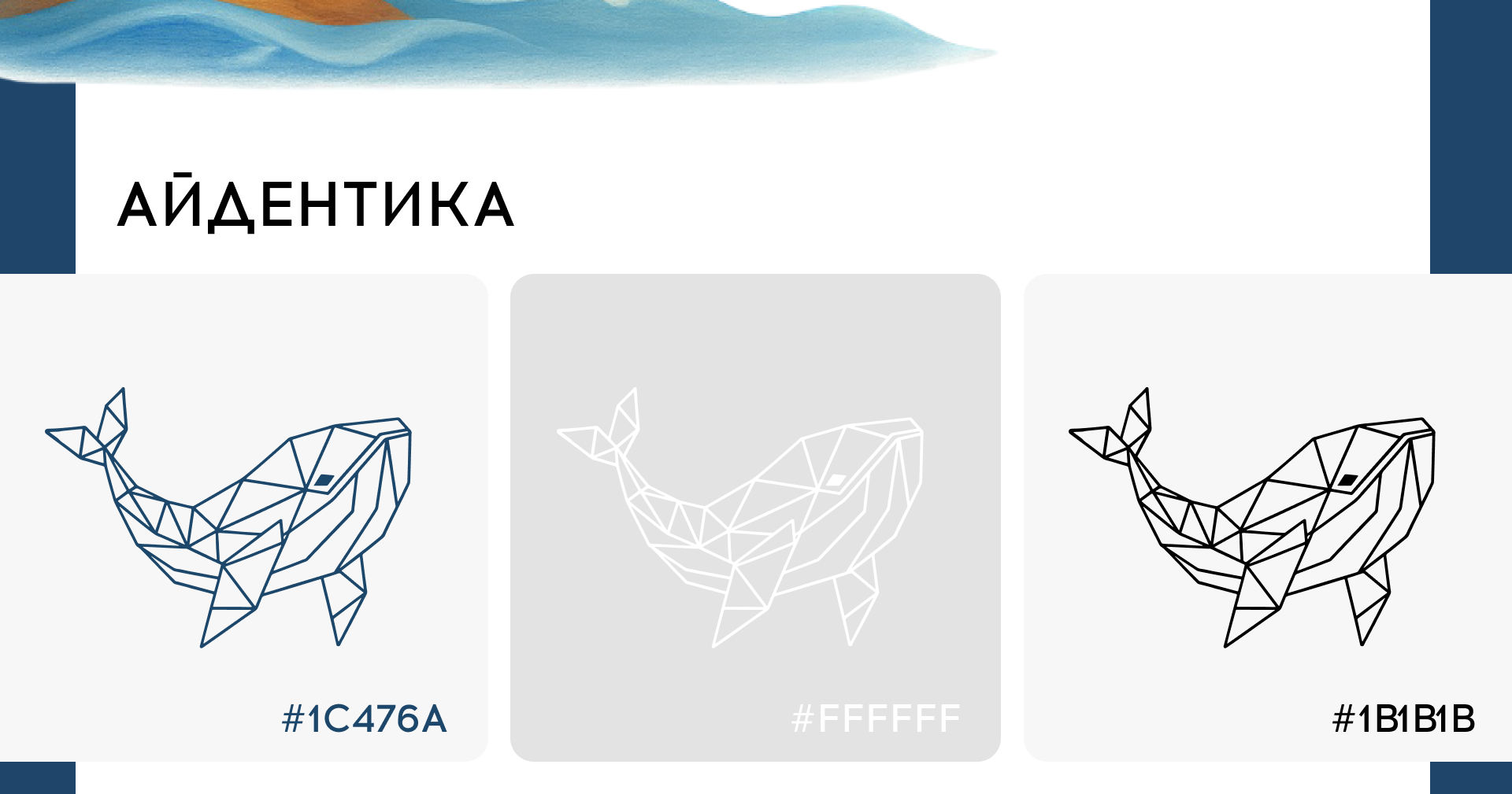 Маскот «Тавриды» — Изображение №6 — Брендинг, Иллюстрация на Dprofile