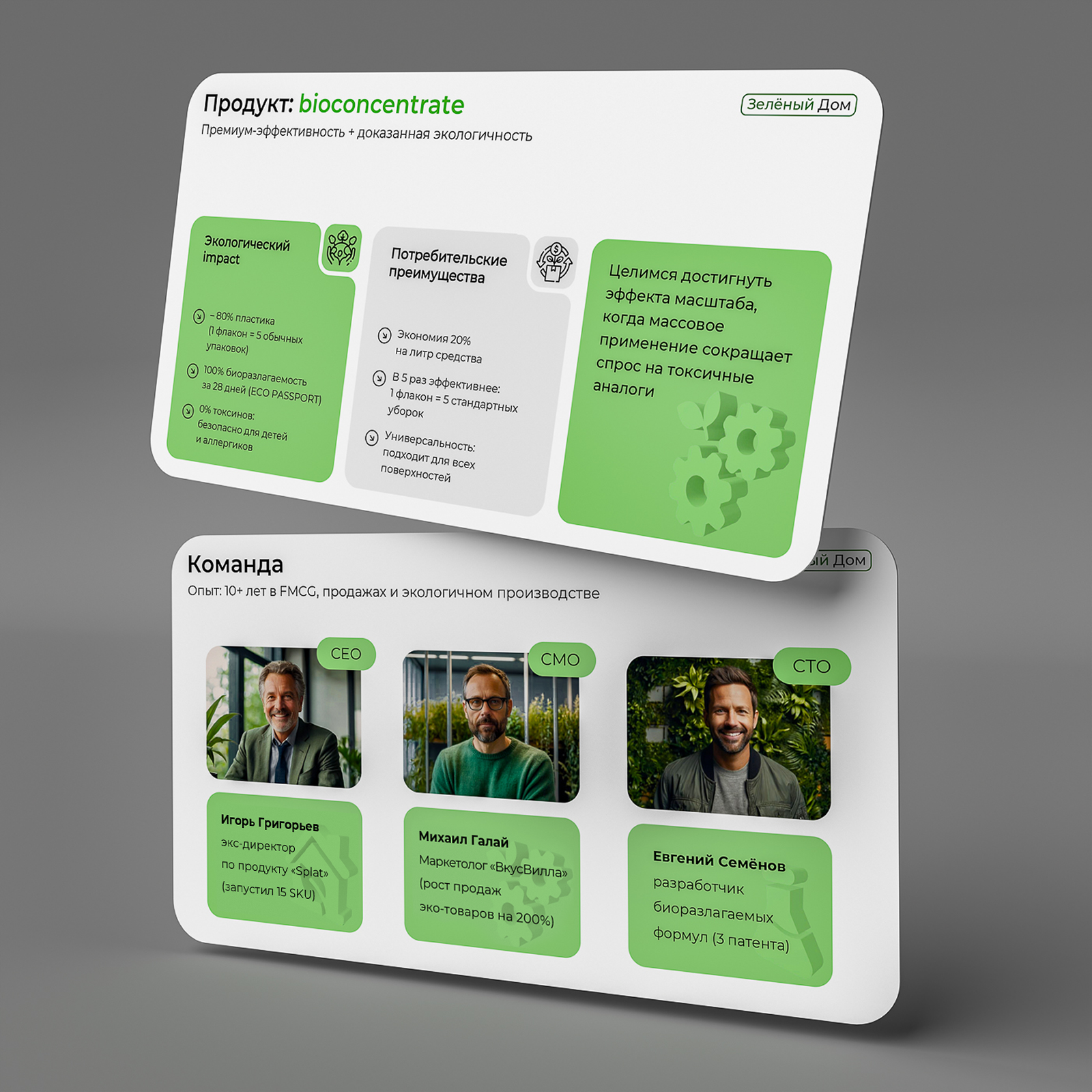 Инвестиционное предложение компании производства экотоваров — Изображение №8 — Маркетинг на Dprofile
