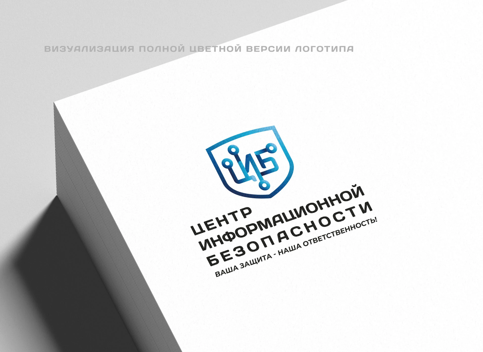 БРЕНДБУК для ЦИБ (Платформа, Логотип, Фир.стиль, Гайд) — Изображение №14 — Брендинг, Графика на Dprofile