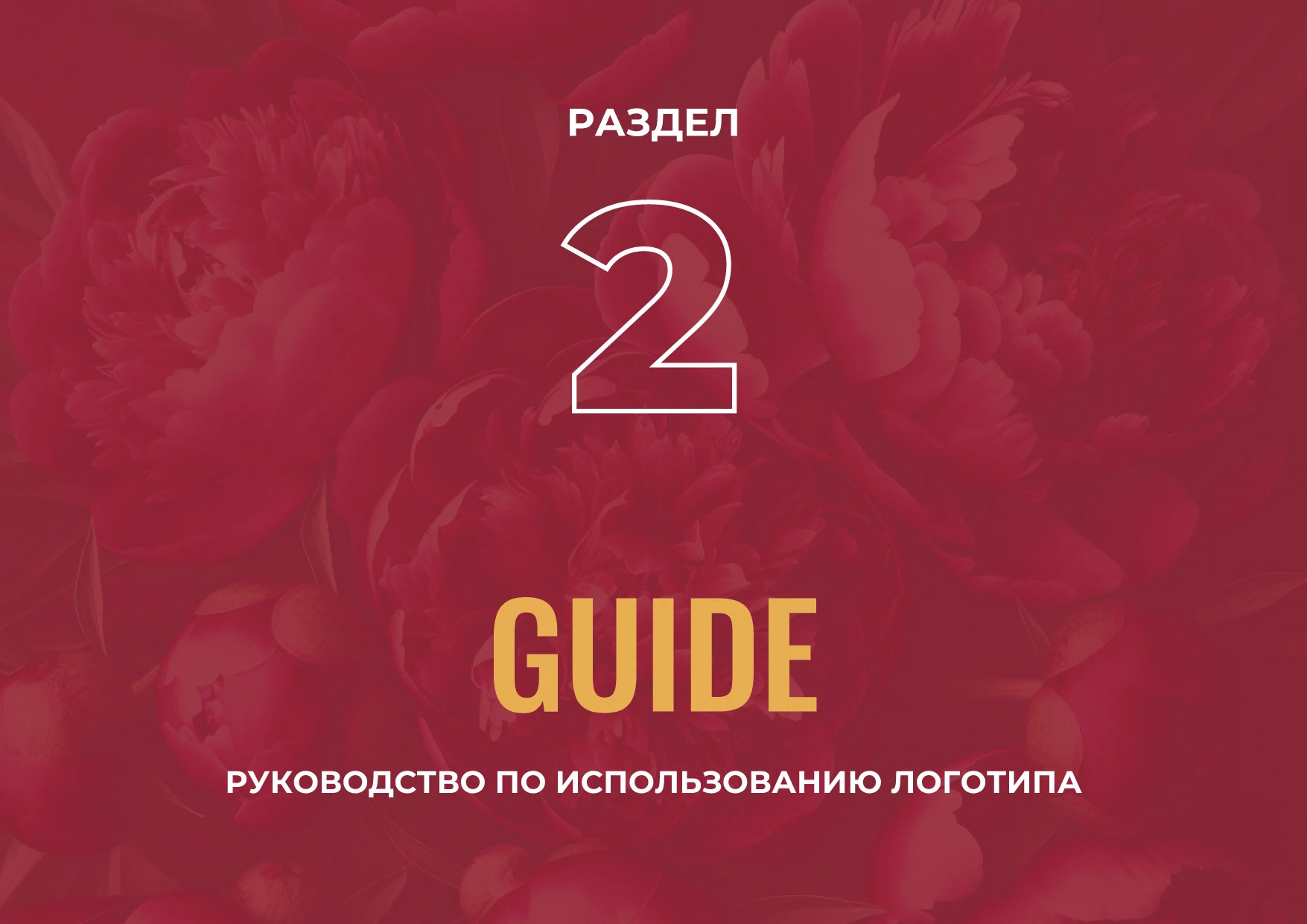 Логотип Брендинг Айдентика Дизайн этикетки Косметики — Изображение №8 — Брендинг на Dprofile