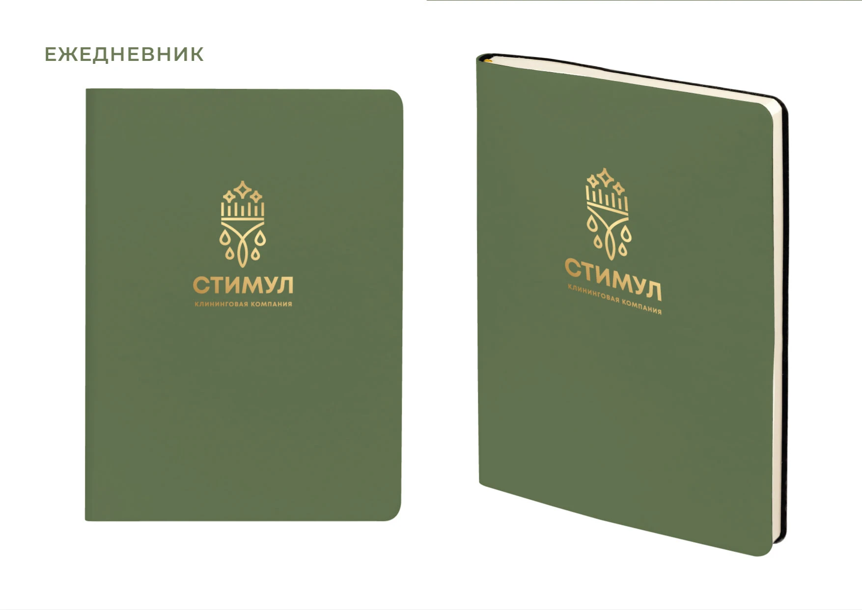 ЛОГОТИП, ФИРМЕННЫЙ СТИЛЬ для Клининговой компании — Изображение №23 — Брендинг на Dprofile