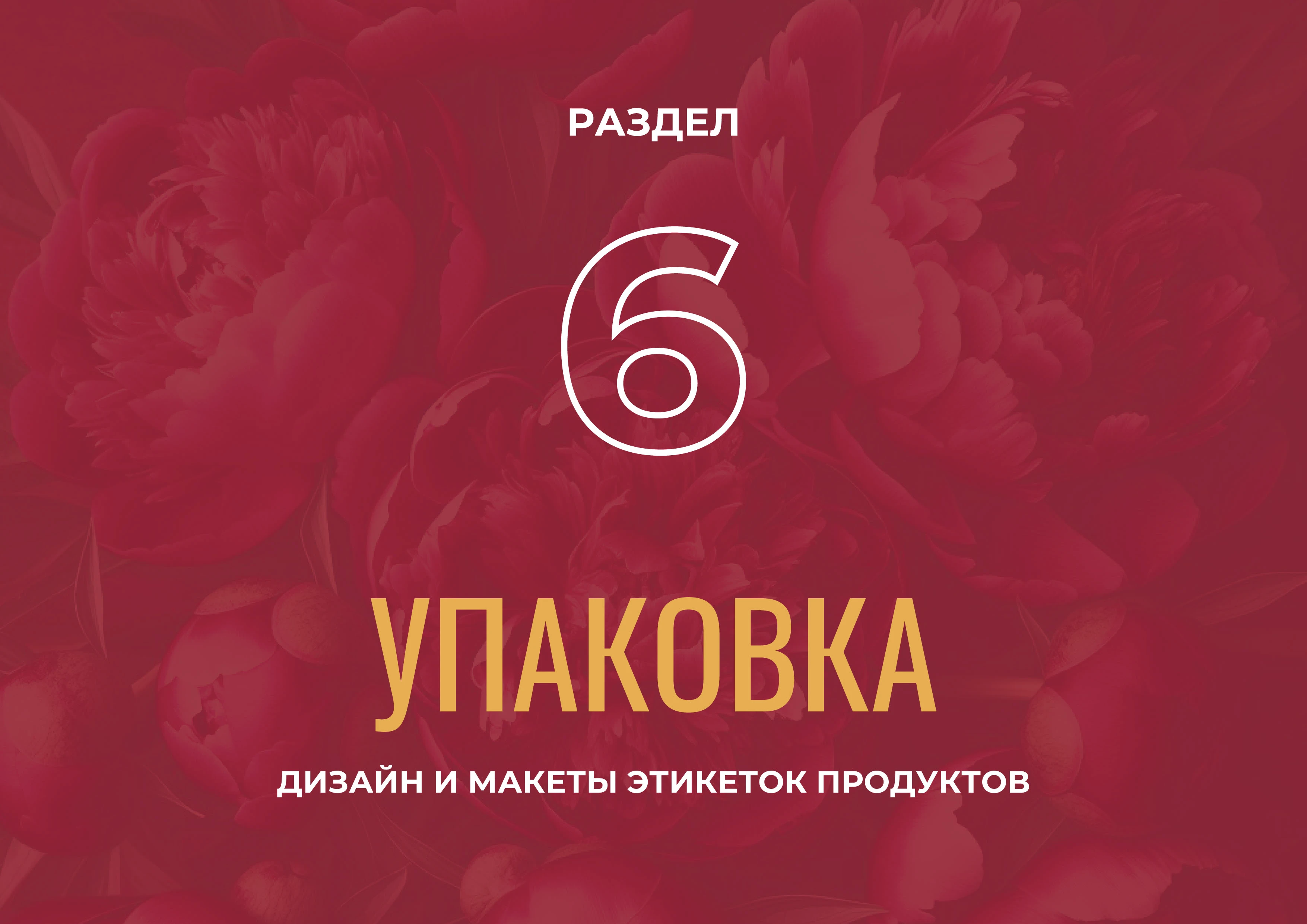 Логотип Брендинг Айдентика Дизайн этикетки Косметики — Изображение №28 — Брендинг на Dprofile